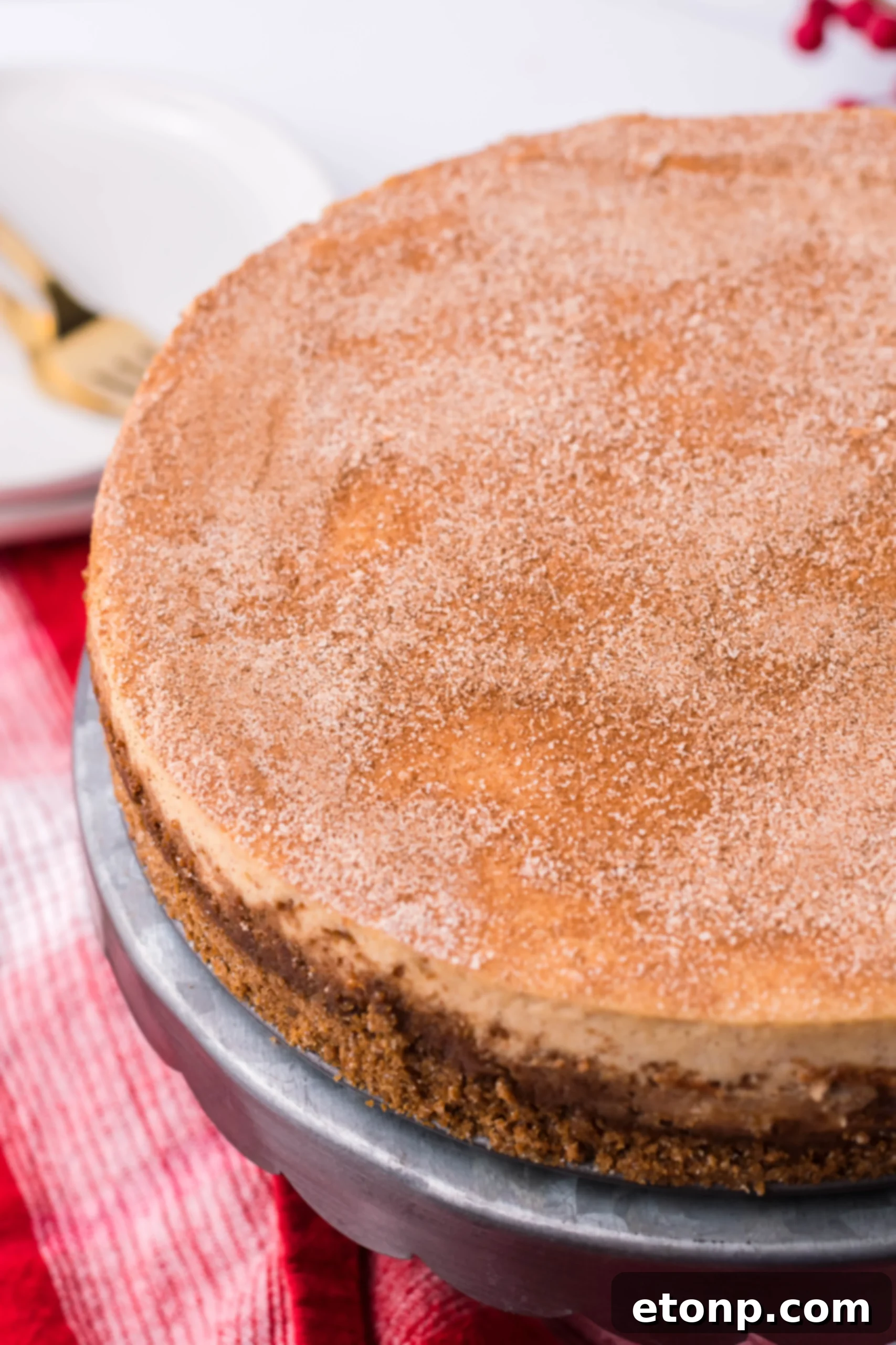 Warm Cinnamon Swirl Cheesecake 4 Snickerdoodle Cheesecake on a stand