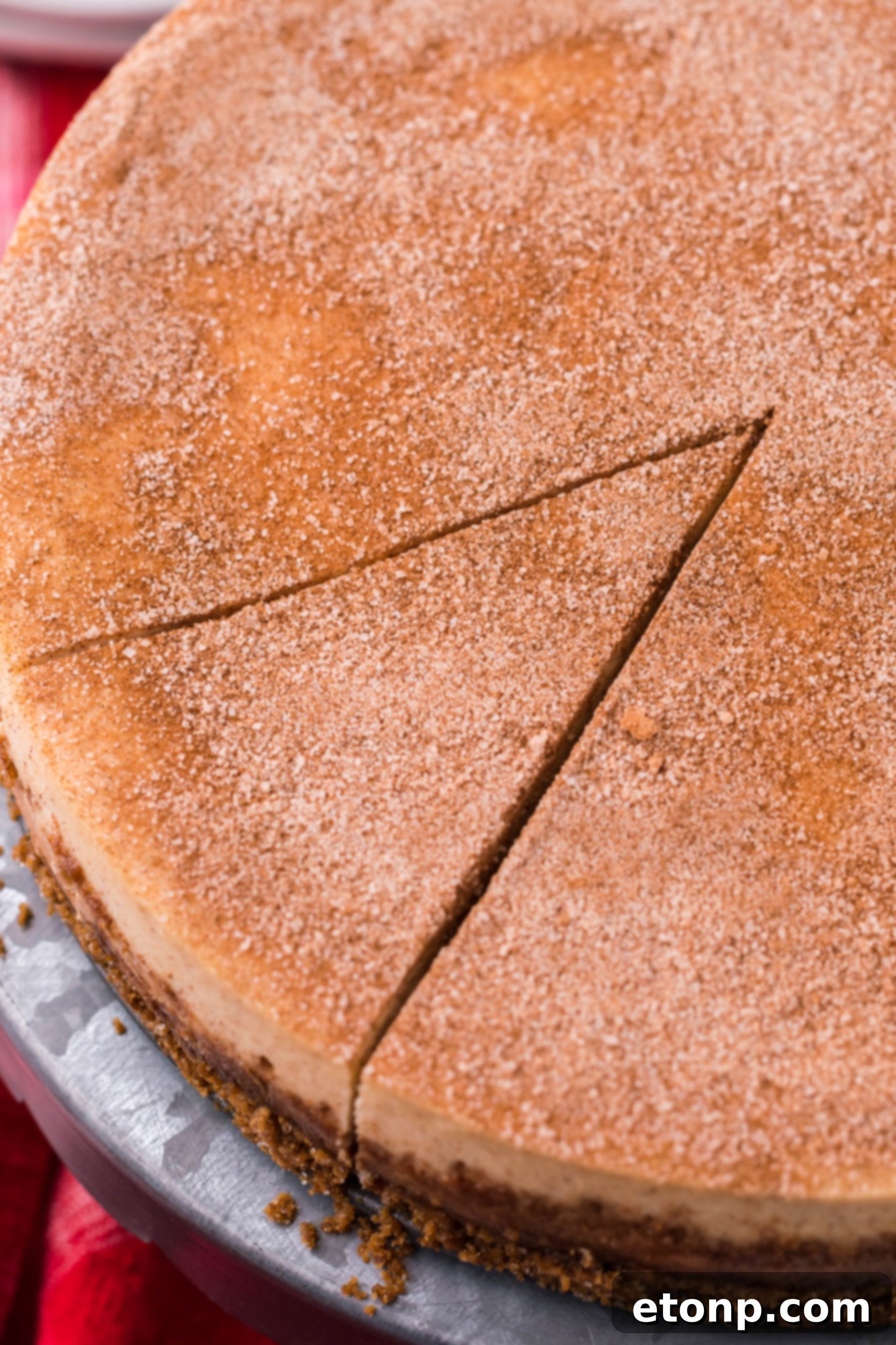 Warm Cinnamon Swirl Cheesecake 5 Snickerdoodle Cheesecake with a fork