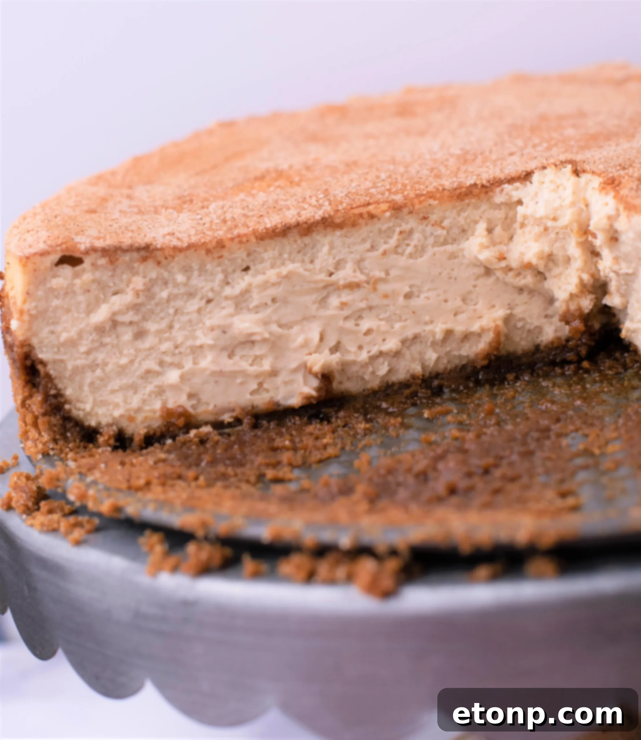 Warm Cinnamon Swirl Cheesecake 6 Snickerdoodle Cheesecake slice