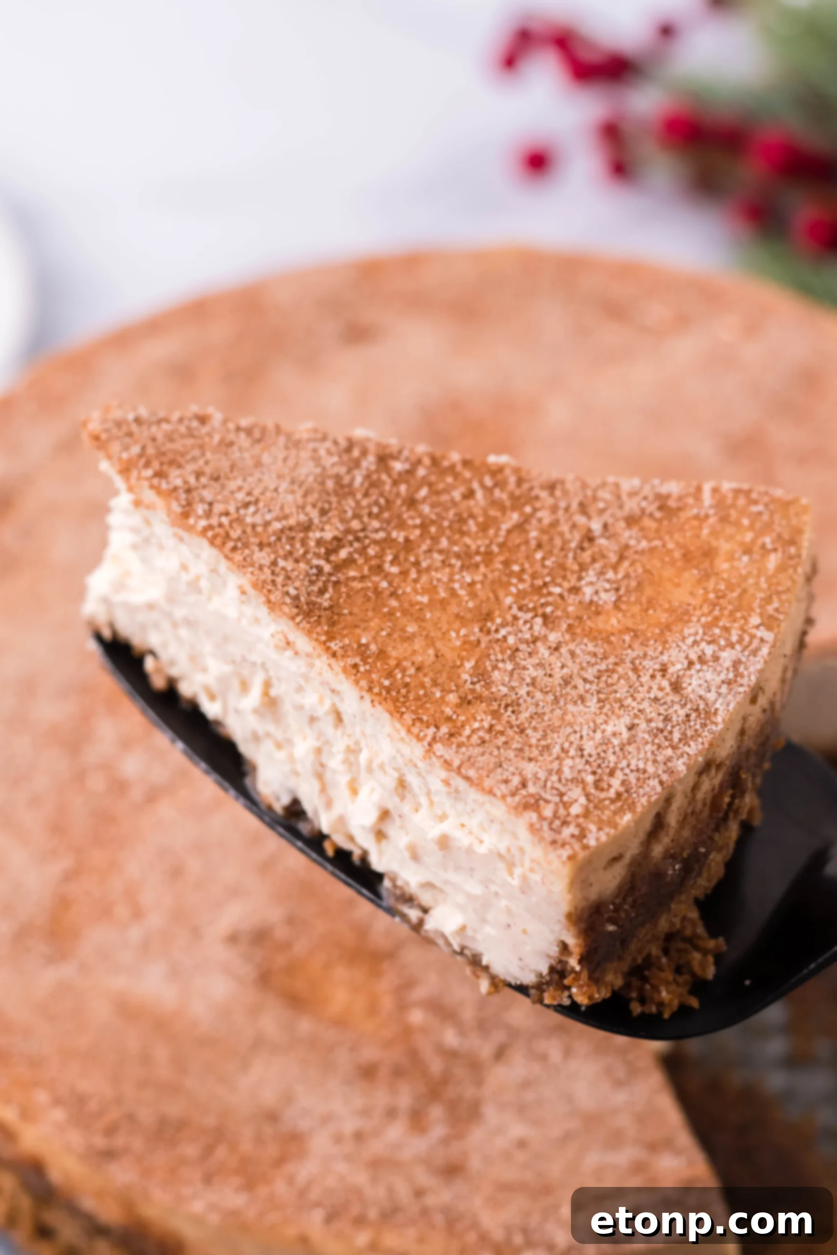 Warm Cinnamon Swirl Cheesecake 7 Snickerdoodle Cheesecake with a spoon