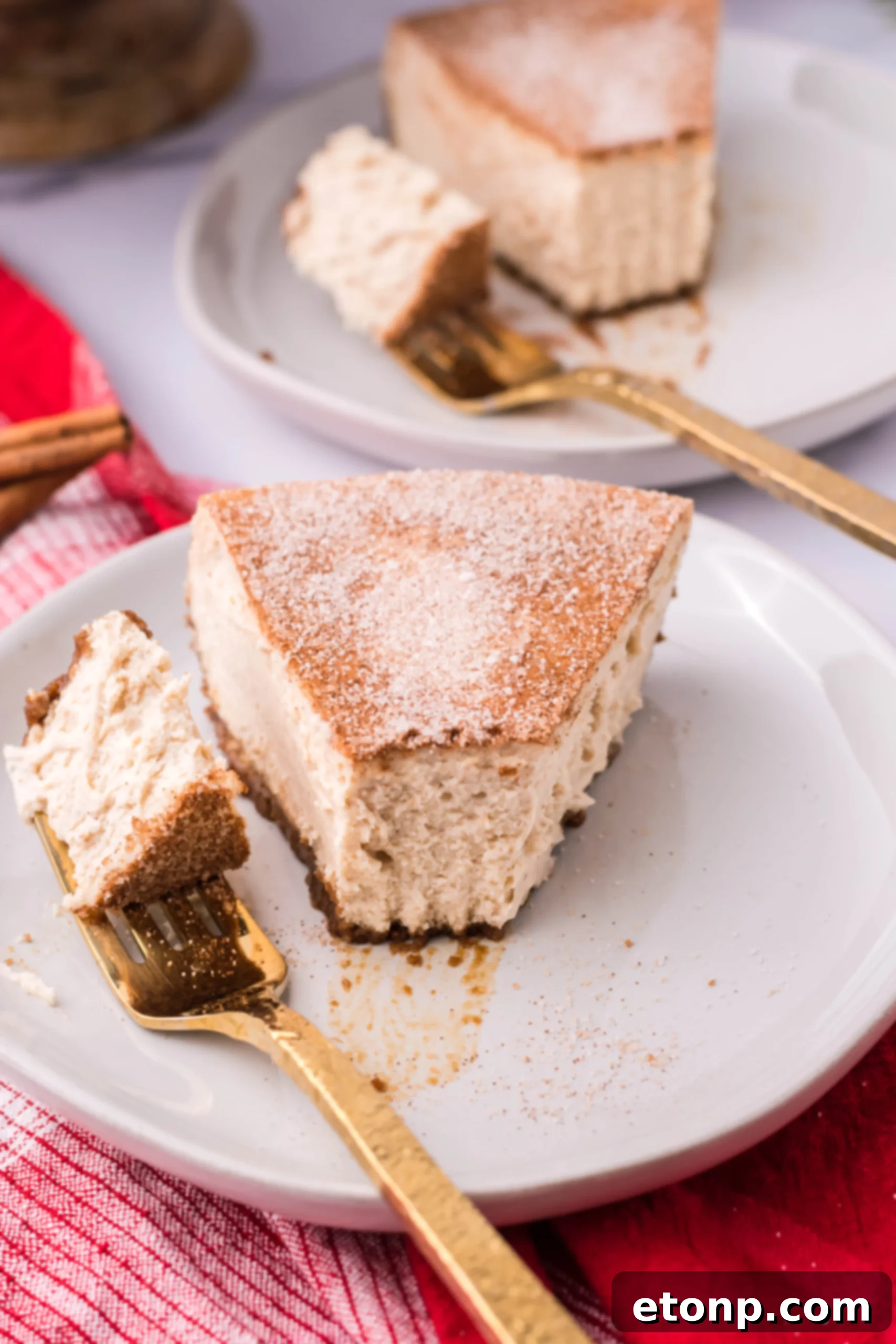 Warm Cinnamon Swirl Cheesecake 8 Close-up of Snickerdoodle Cheesecake