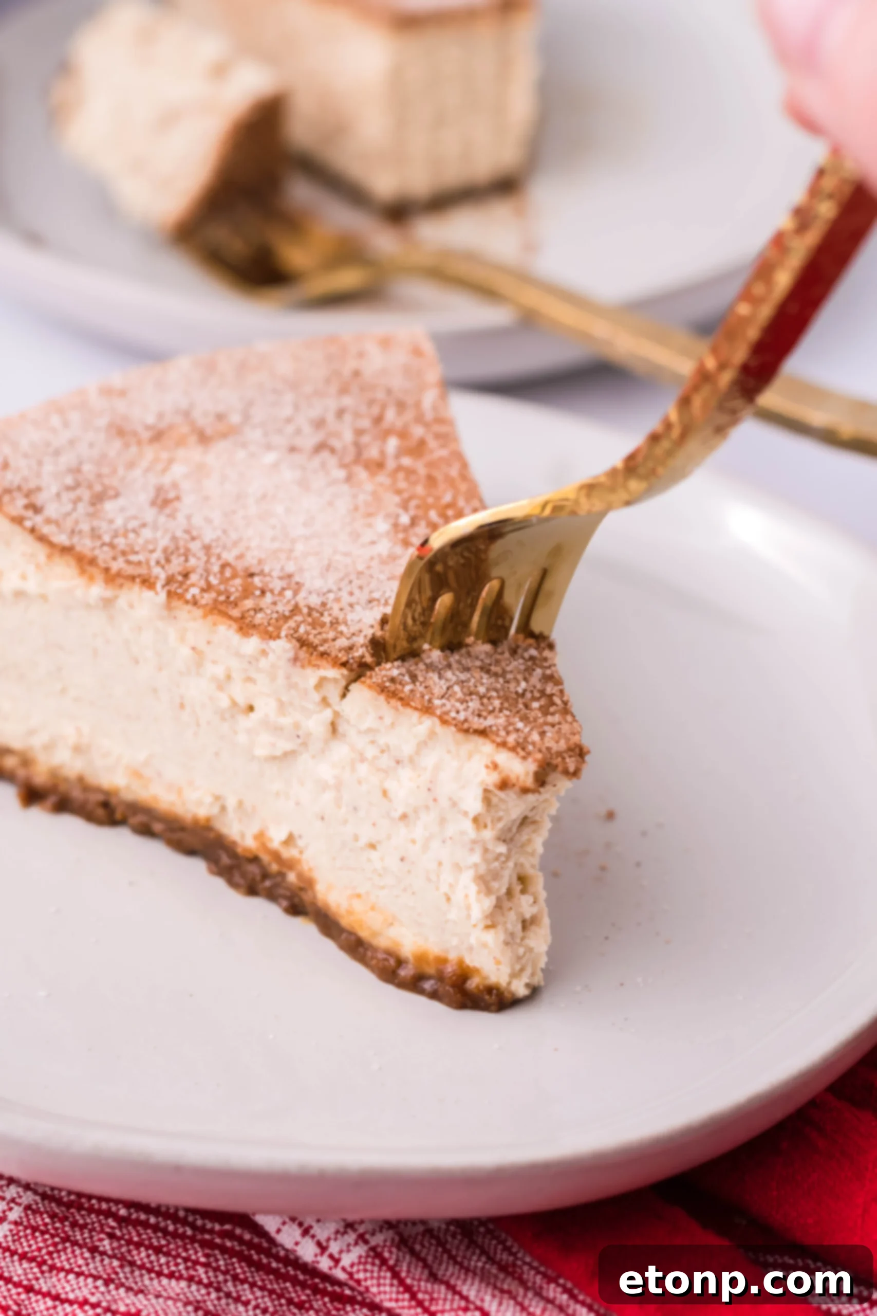 Warm Cinnamon Swirl Cheesecake 10 Snickerdoodle Cheesecake on a white plate