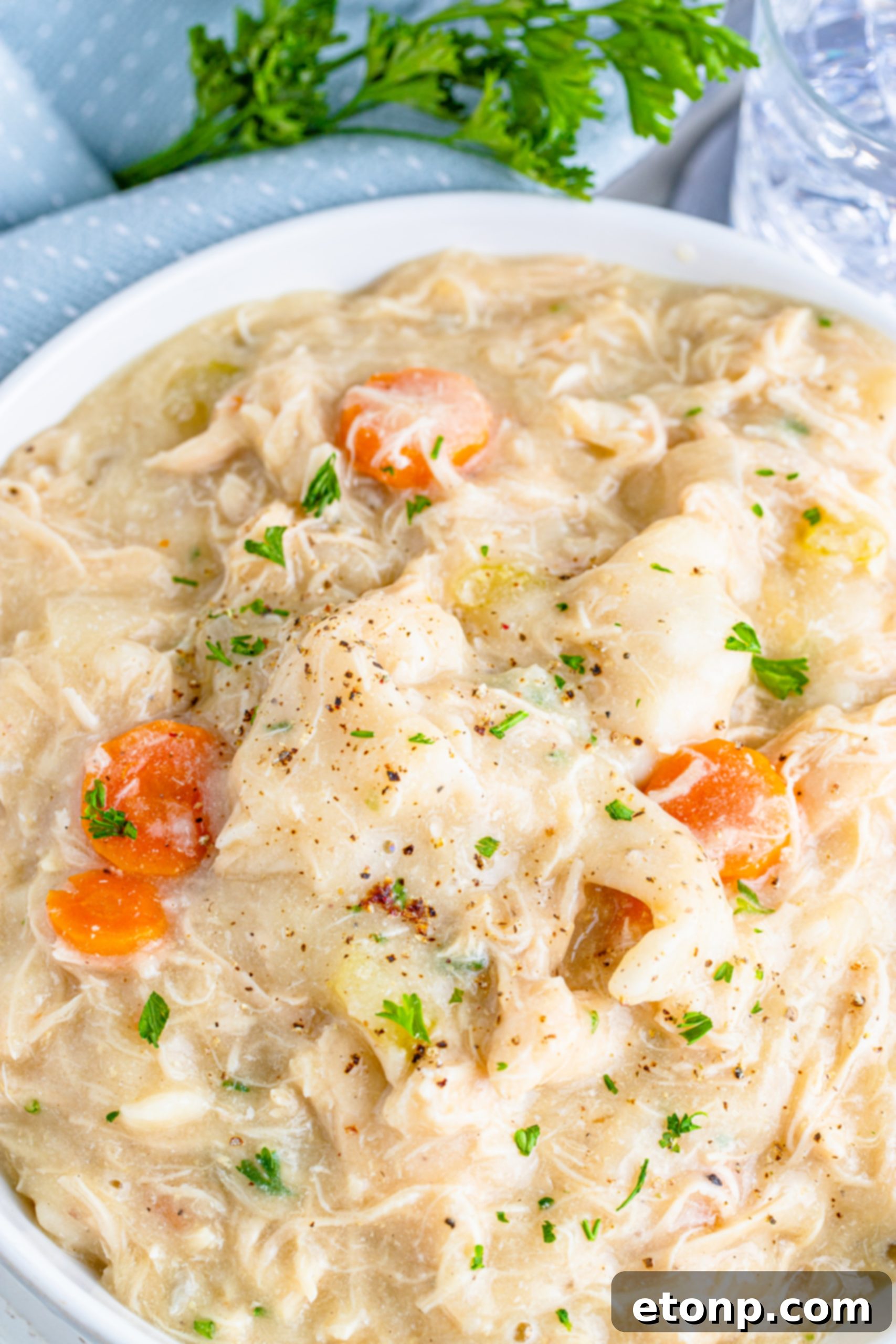 A transparent food storage container filled with leftover chicken and dumplings, ready for refrigeration.