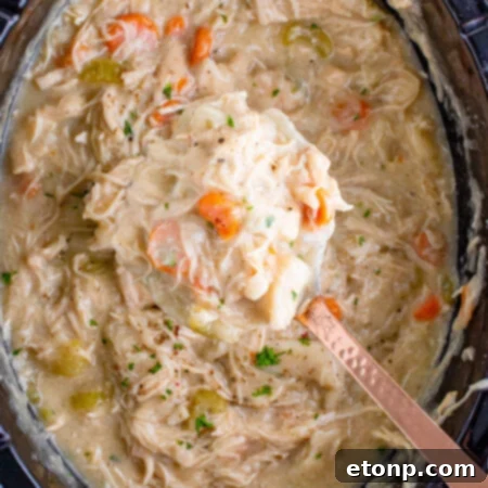 Close-up of a rustic bowl of Slow Cooker Chicken and Dumplings, garnished with fresh parsley.