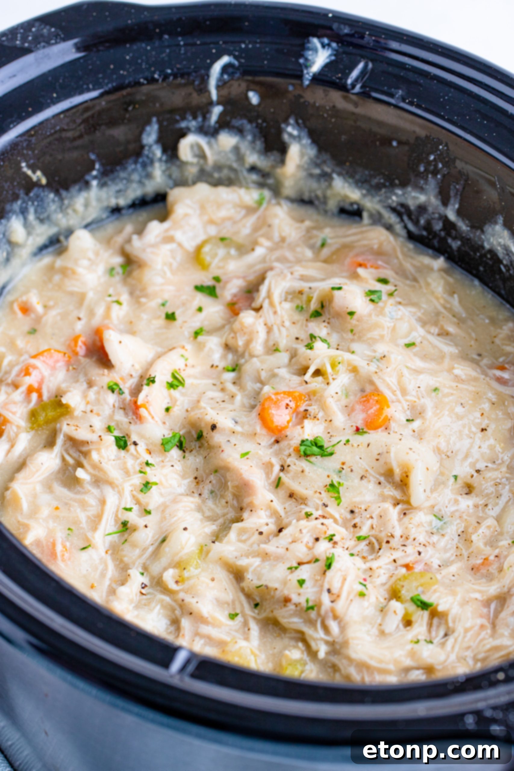 Close-up view of Slow Cooker Chicken and Dumplings in a rustic bowl, showcasing the tender chicken, vegetables, and light, fluffy dumplings.