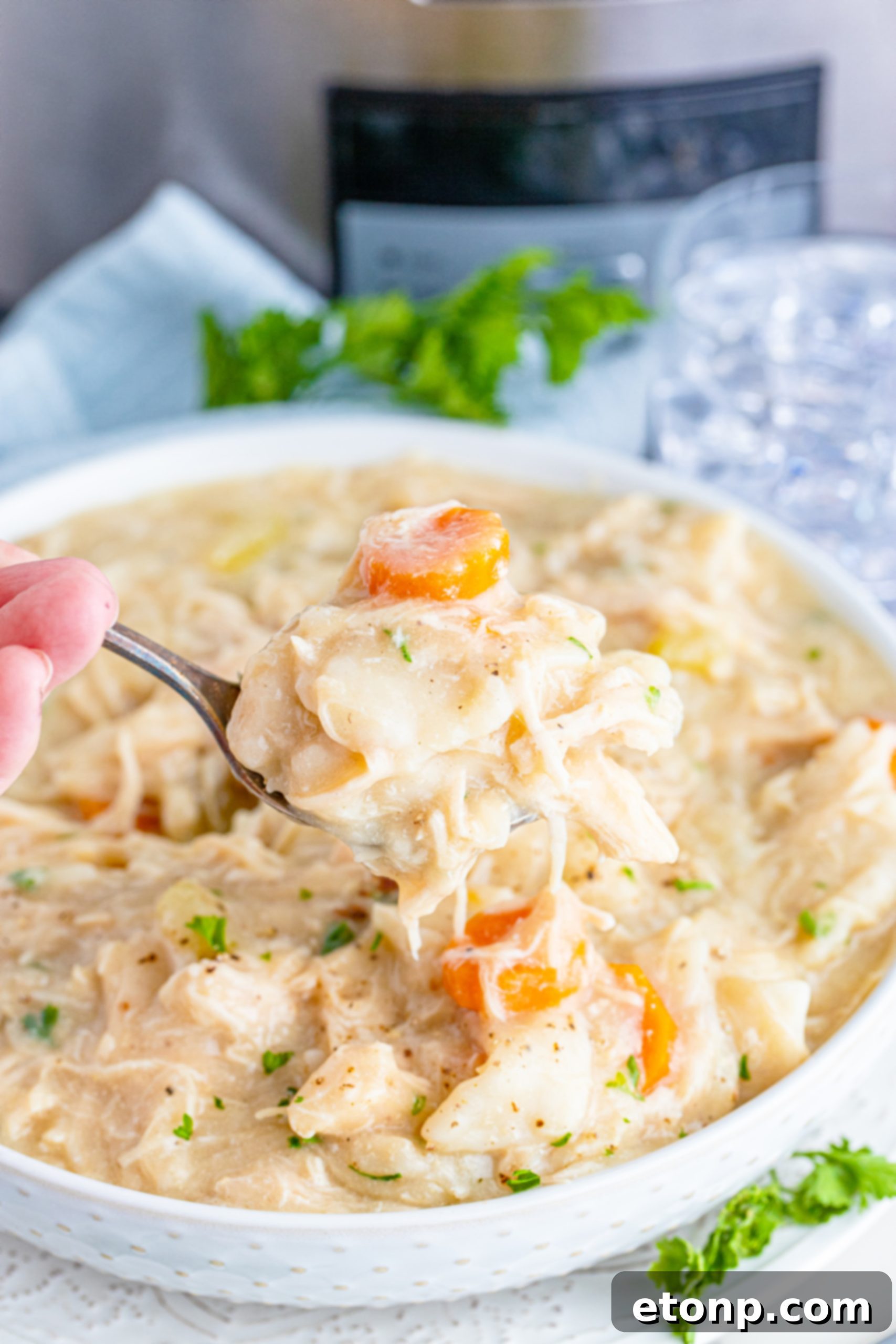 A slow cooker filled with creamy Chicken and Dumplings, with a serving ladle, indicating it's ready for dinner.