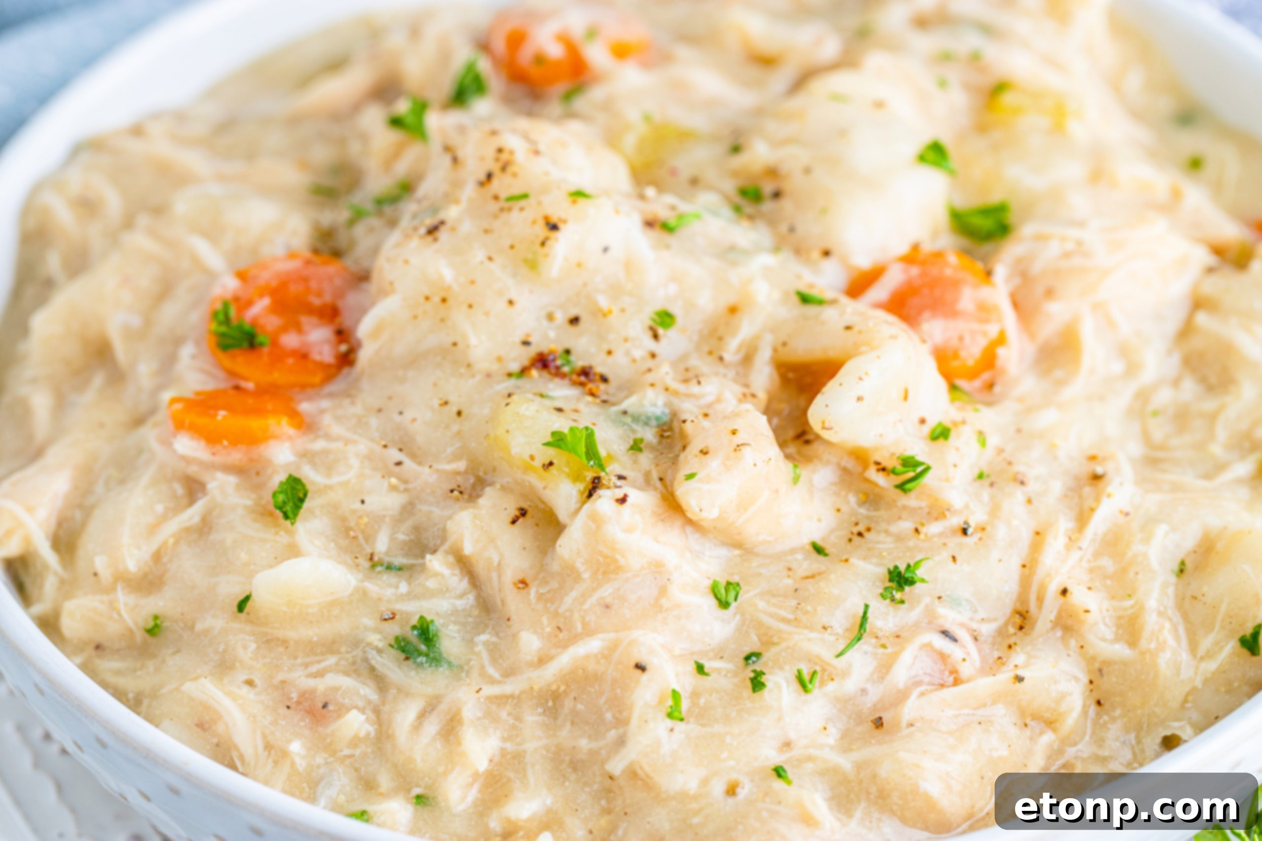 A bowl of rich, creamy vegetable soup, representing a potential base for a slow cooker dish.