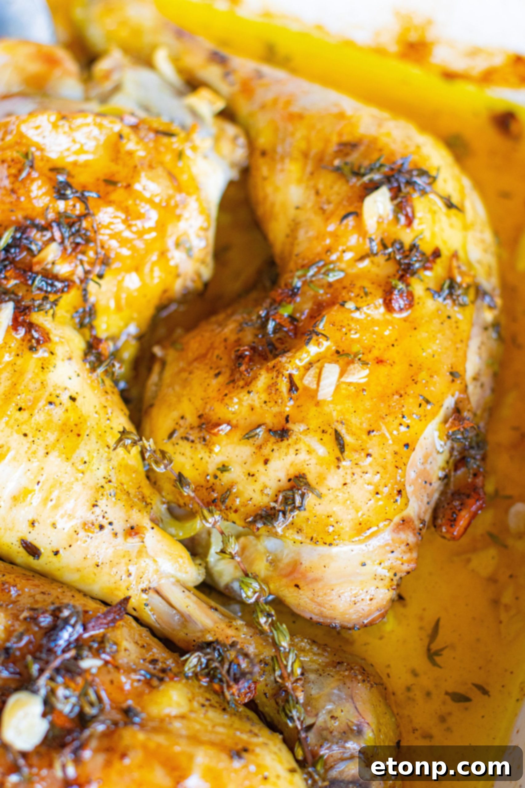 Golden Garlic Butter Roasted Chicken 7 Closeup of garlic butter baked chicken