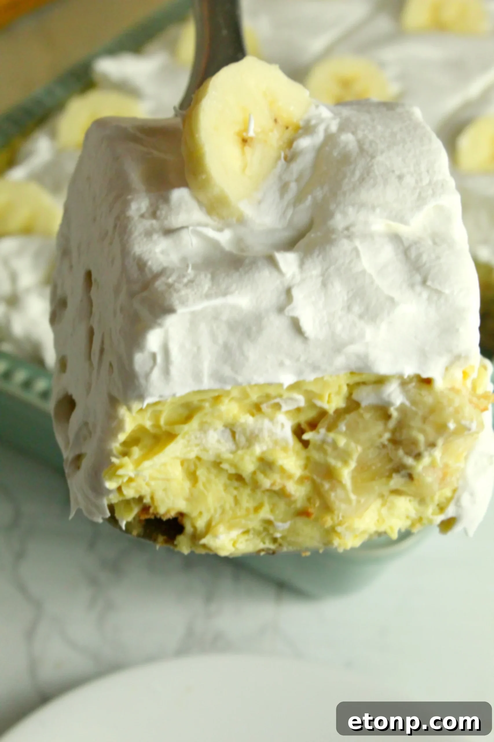 Creamy No-Bake Banana Pudding with vanilla wafers and fresh banana slices