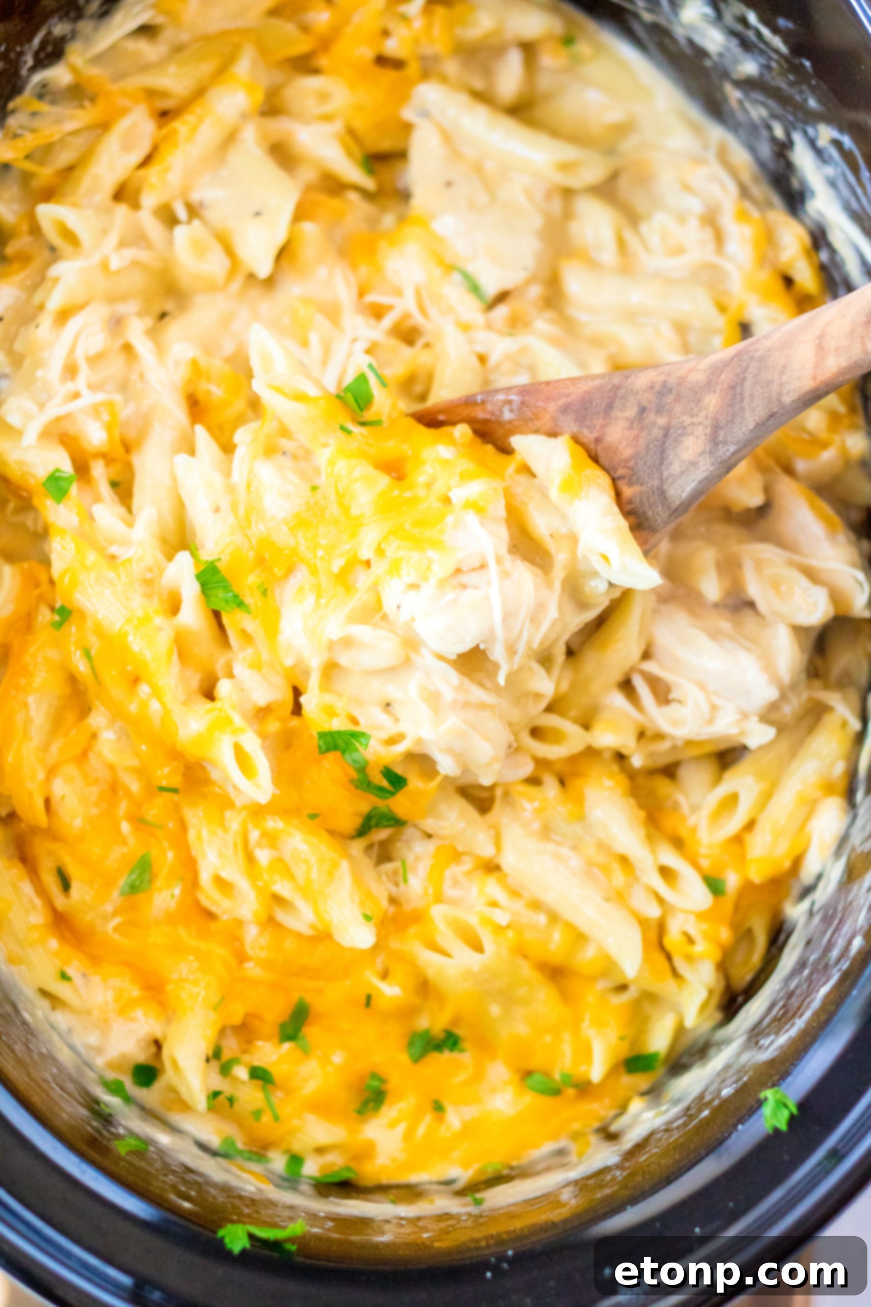 Close-up of the creamy, cheesy sauce of the chicken penne