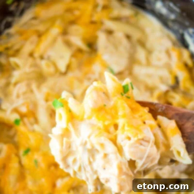Effortless Slow Cooker Cheesy Chicken Penne 16 Slow Cooker Cheesy Chicken Penne Recipe Image