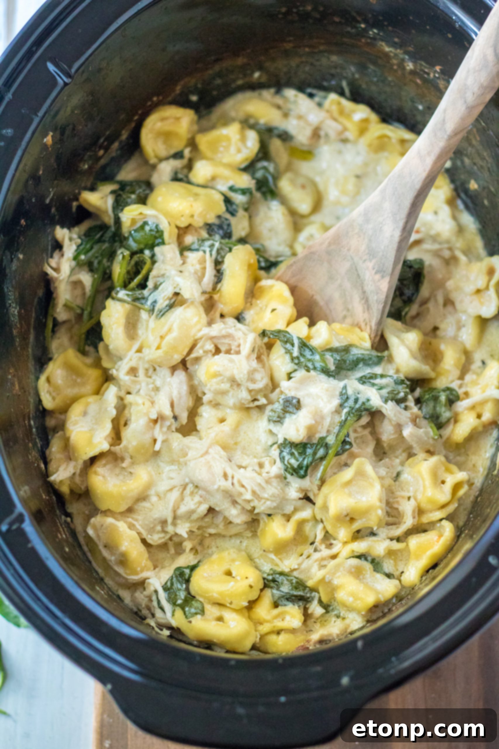 A bowl of creamy chicken tortellini, rich with sauce, chicken pieces, and fresh spinach, ready to be served from a slow cooker.