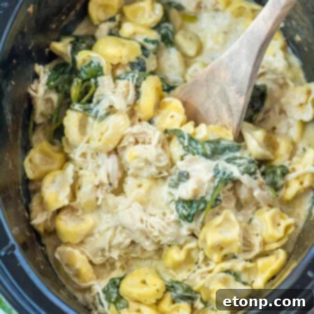 Slow Cooker Creamy Chicken Spinach Tortellini