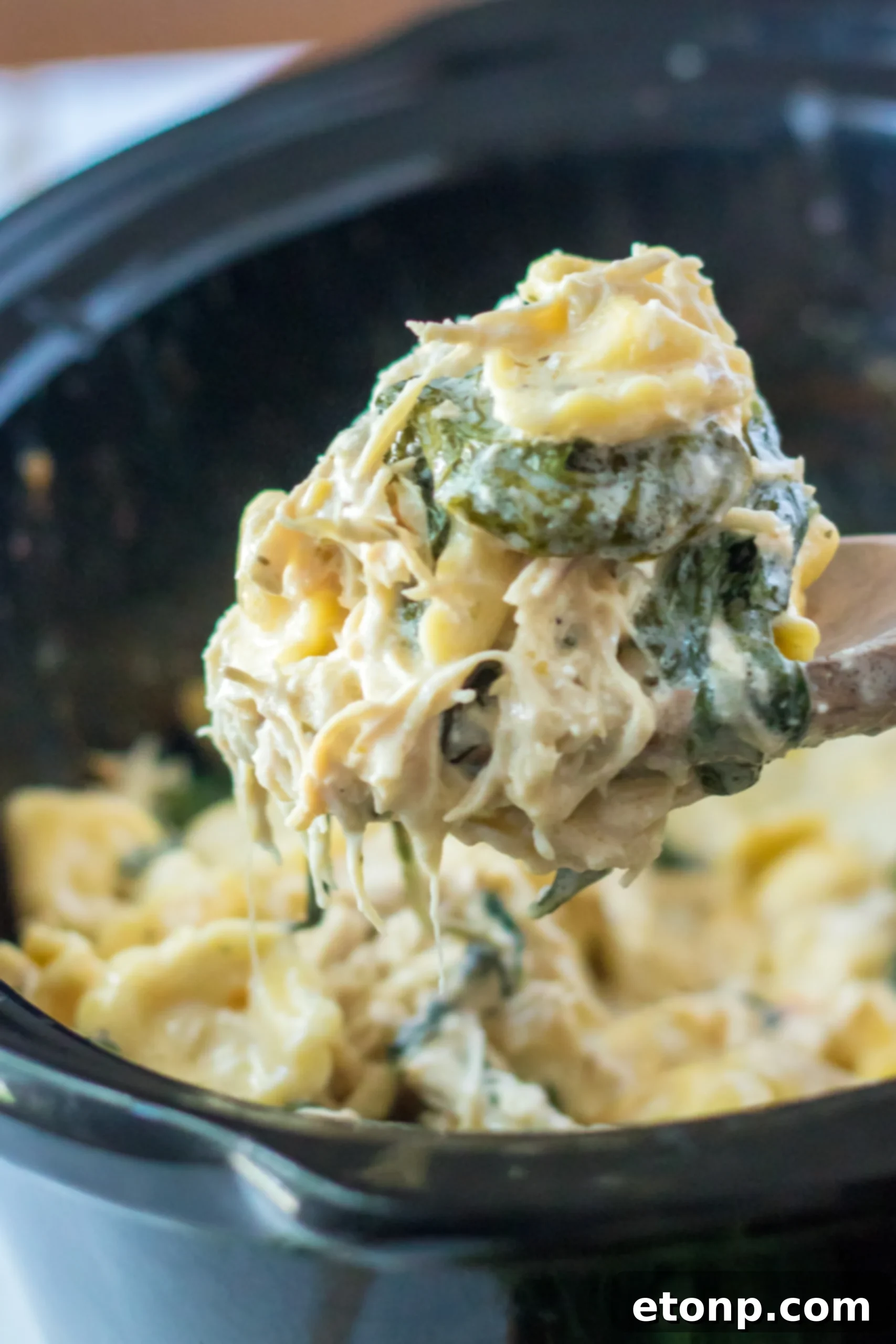 Close-up of creamy chicken tortellini with visible chicken pieces, spinach, and a rich, white sauce.