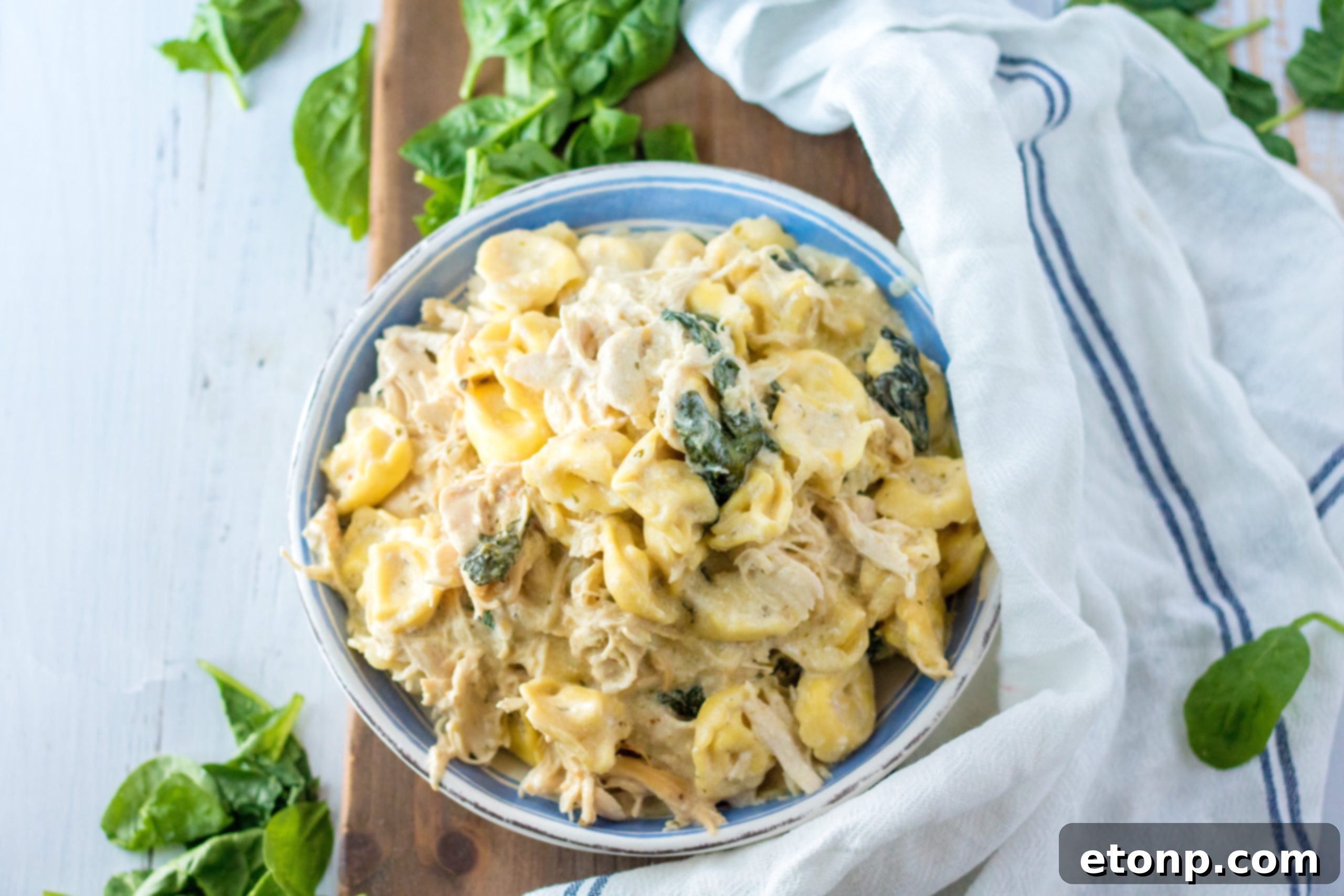 A large serving of slow cooker creamy chicken tortellini in a white bowl, garnished with fresh parsley.