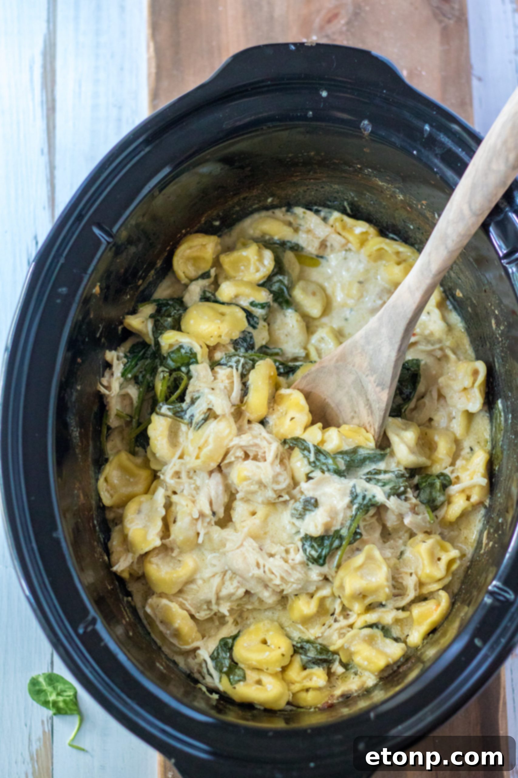 Close-up view of creamy chicken tortellini, showing the texture of the sauce, chicken, and pasta.