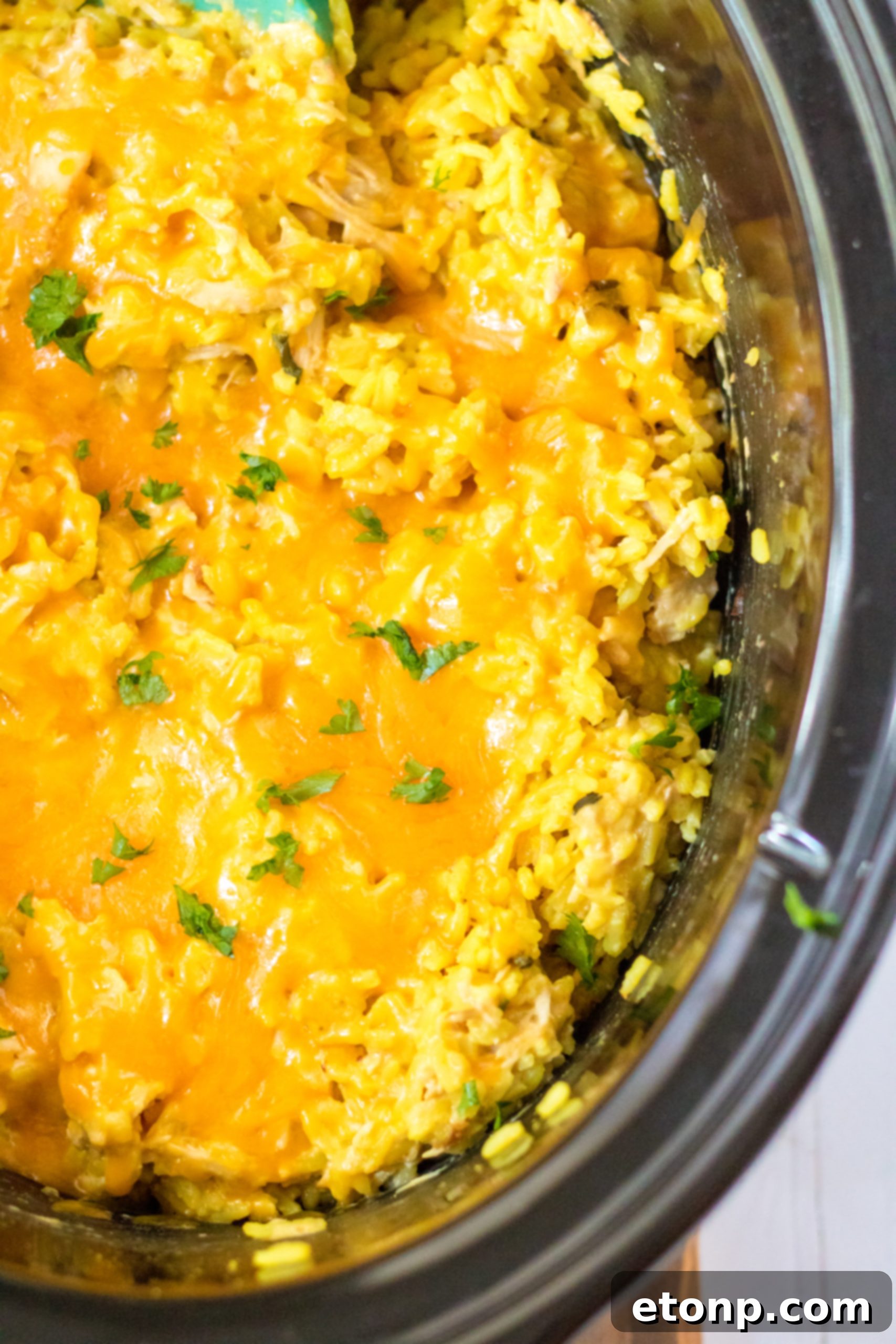 A serving of Slow Cooker Cheesy Chicken and Rice garnished with fresh herbs.