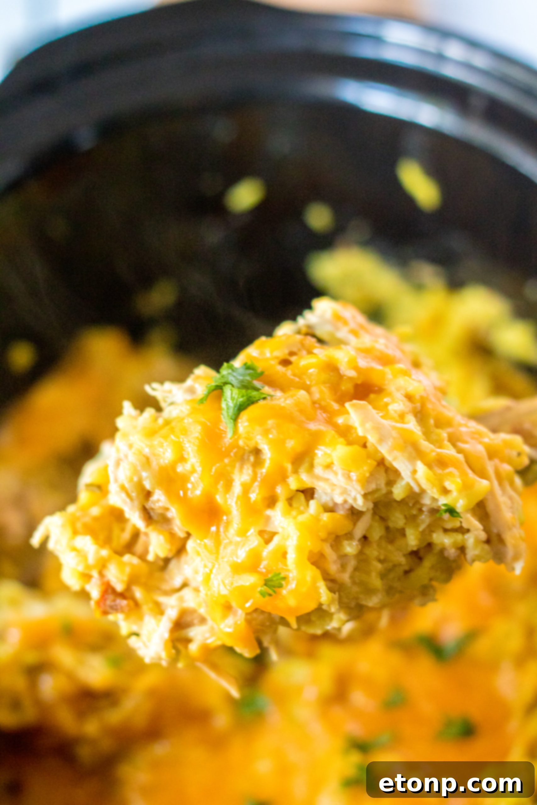 Canned cream of chicken soup, a key ingredient for the creamy base.