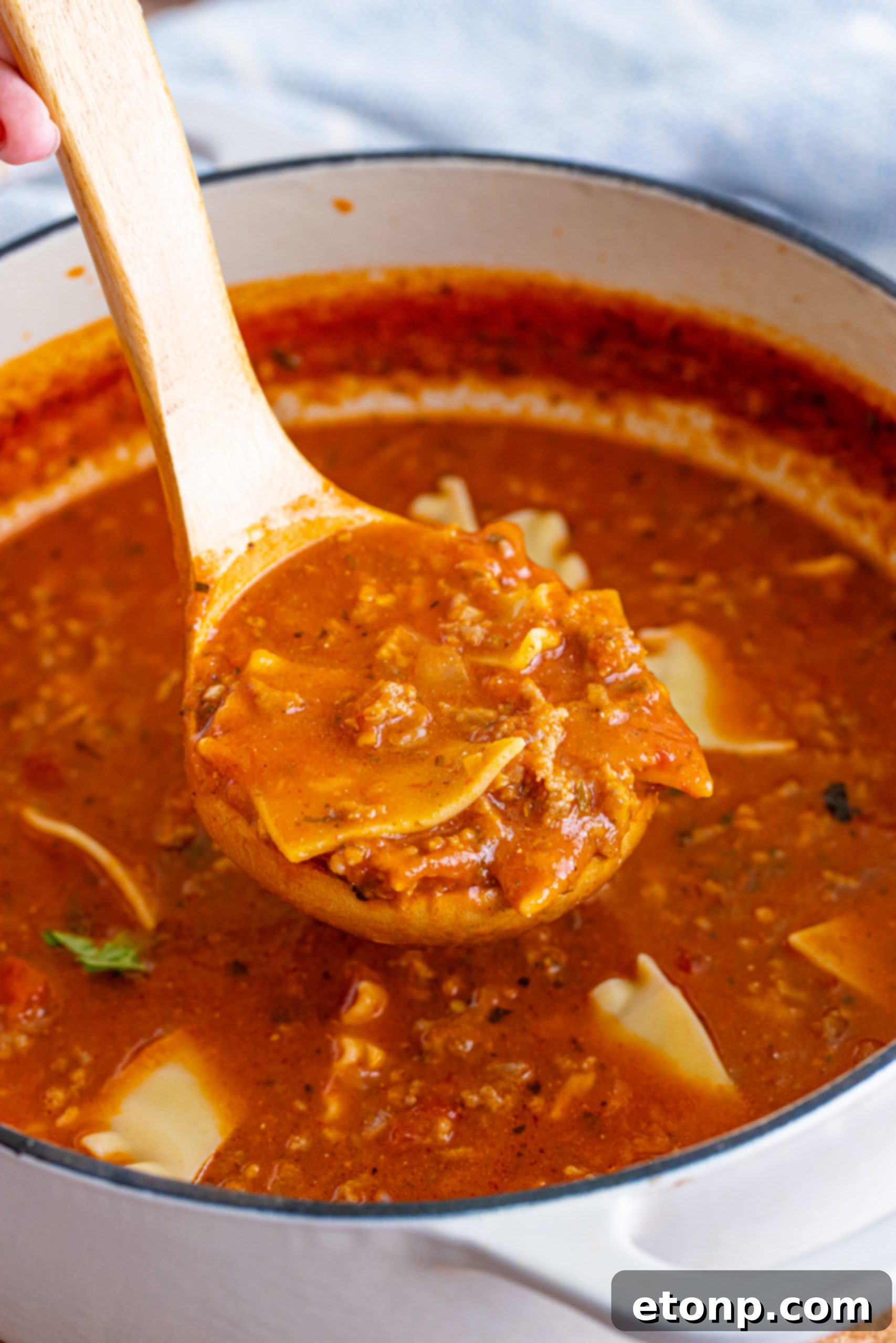 Hearty Lasagna Soup served in a bowl, garnished with fresh herbs and cheese.
