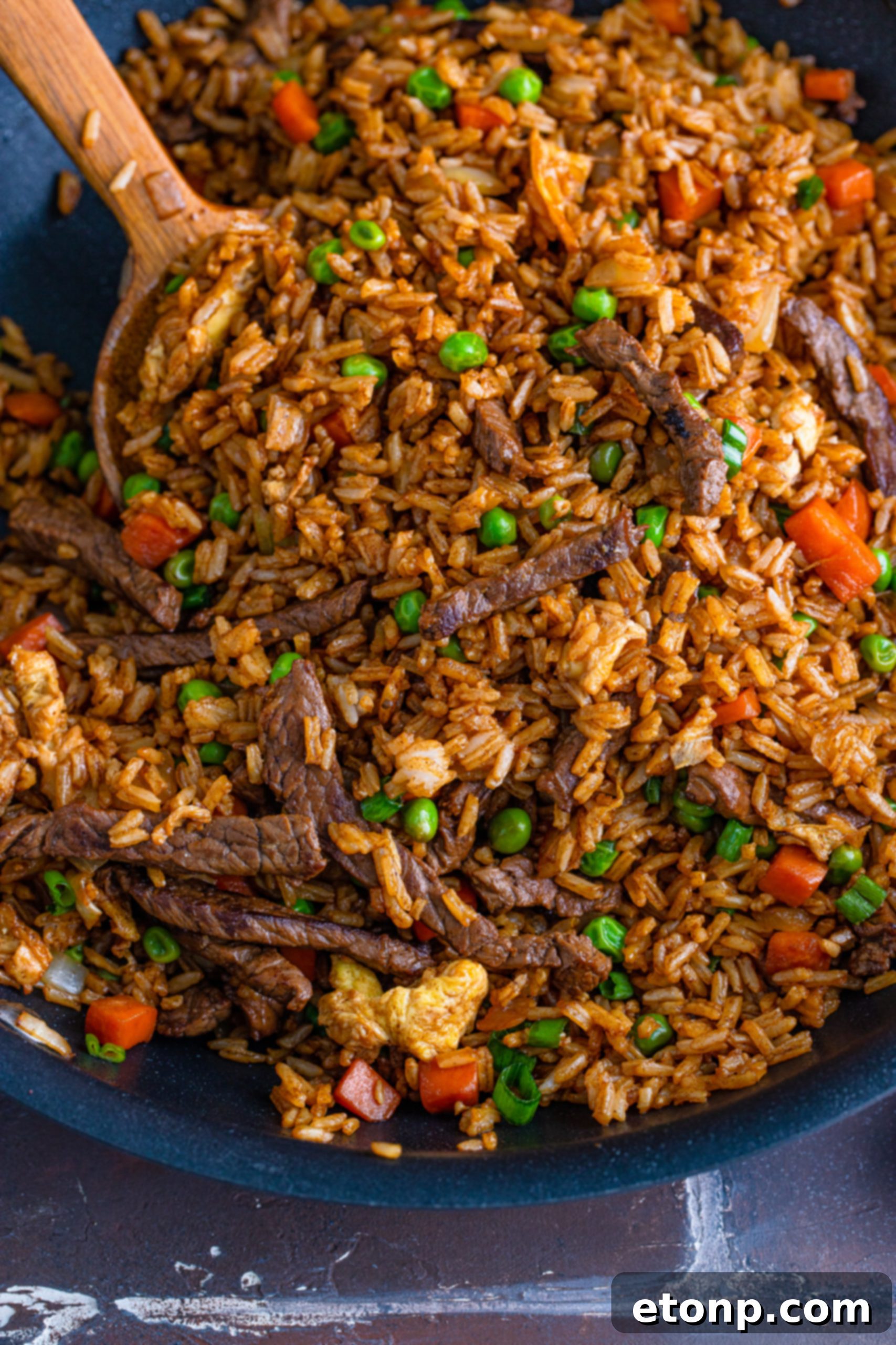 Final plated Beef Fried Rice with garnish
