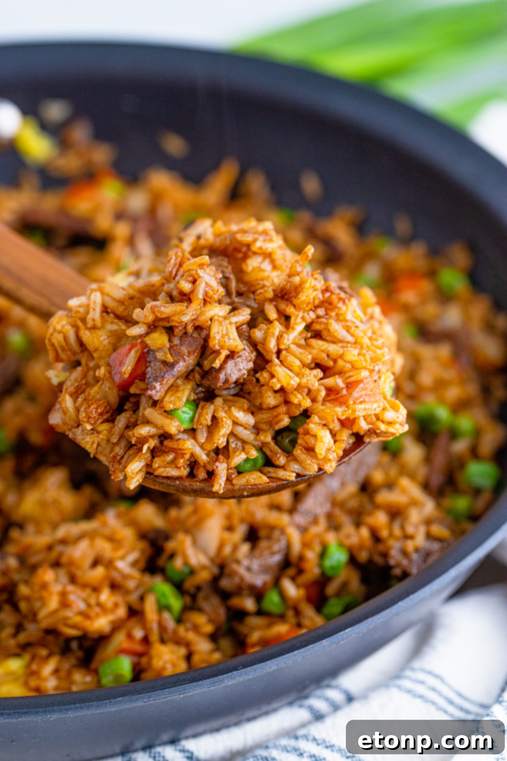 Homemade Beef Fried Rice ready to be served