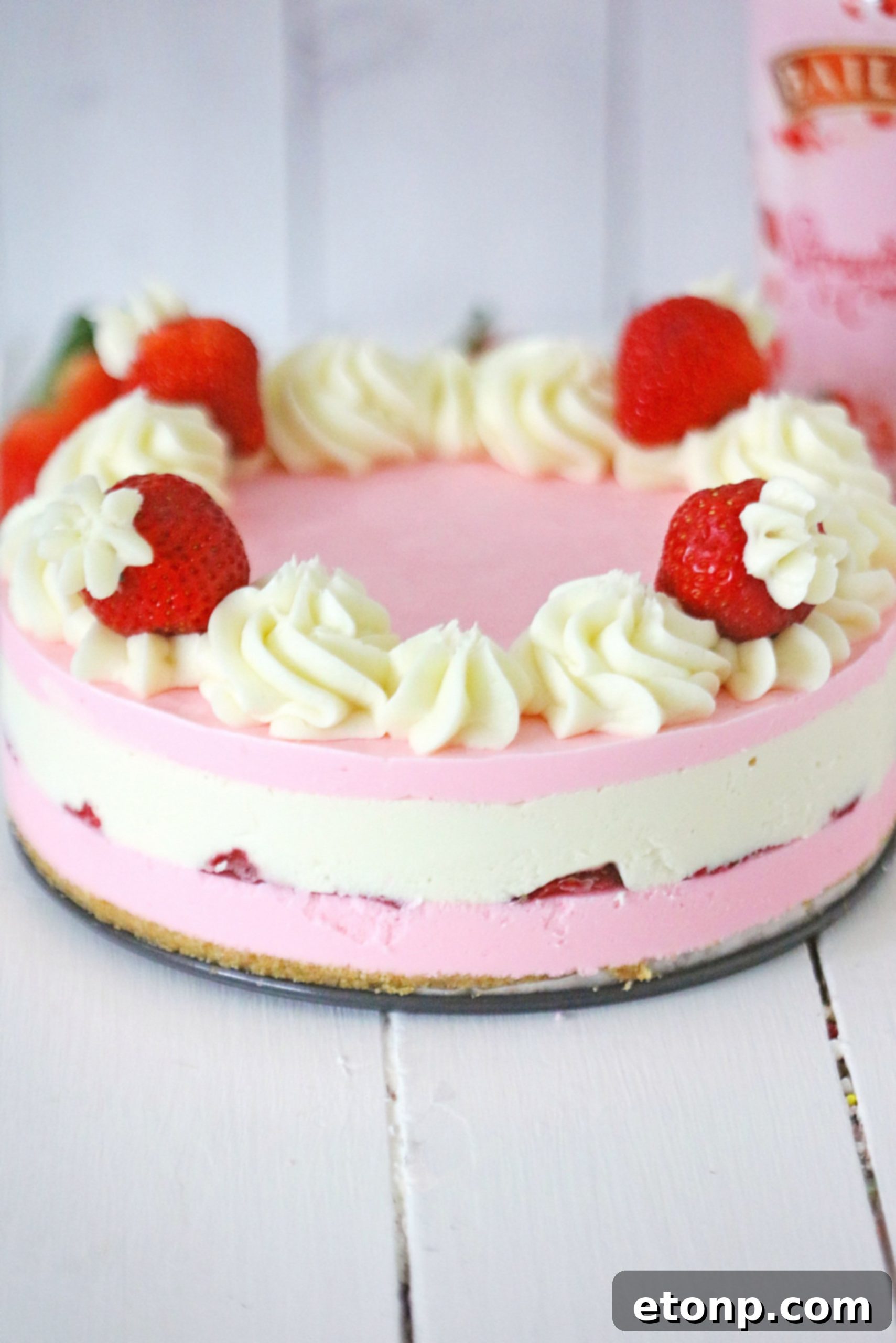 No-Bake Baileys Strawberry Cheesecake Bliss 3 Close-up of a slice of Baileys Strawberries & Cream Cheesecake showing layers