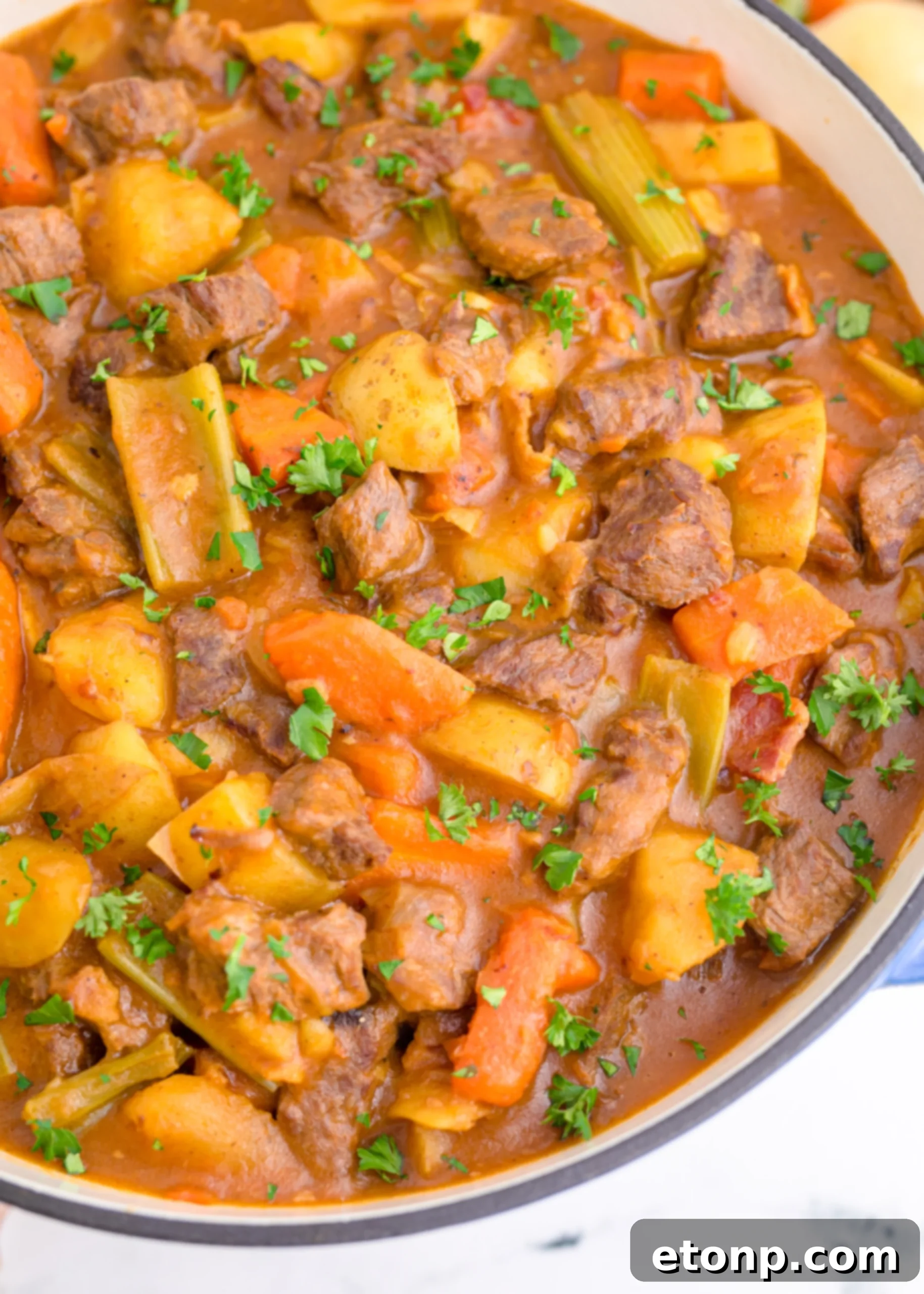A hearty bowl of Guinness Beef Stew, featuring tender beef, carrots, and potatoes in a rich, dark broth, garnished with fresh herbs.
