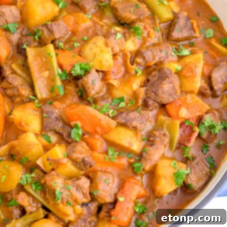 Guinness Beef Stew finished dish