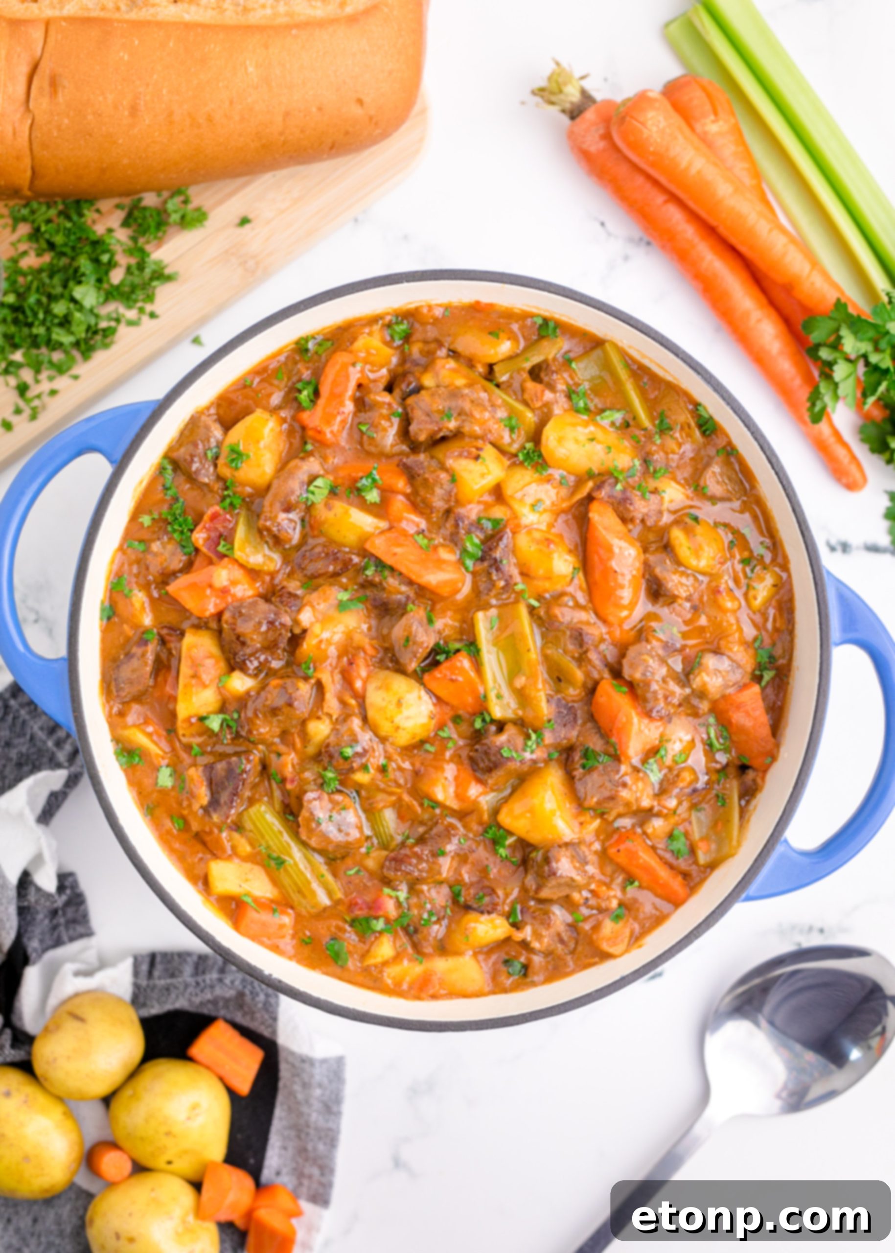 A top-down view of a serving of Guinness Beef Stew, presented beautifully in a white bowl with fresh parsley.