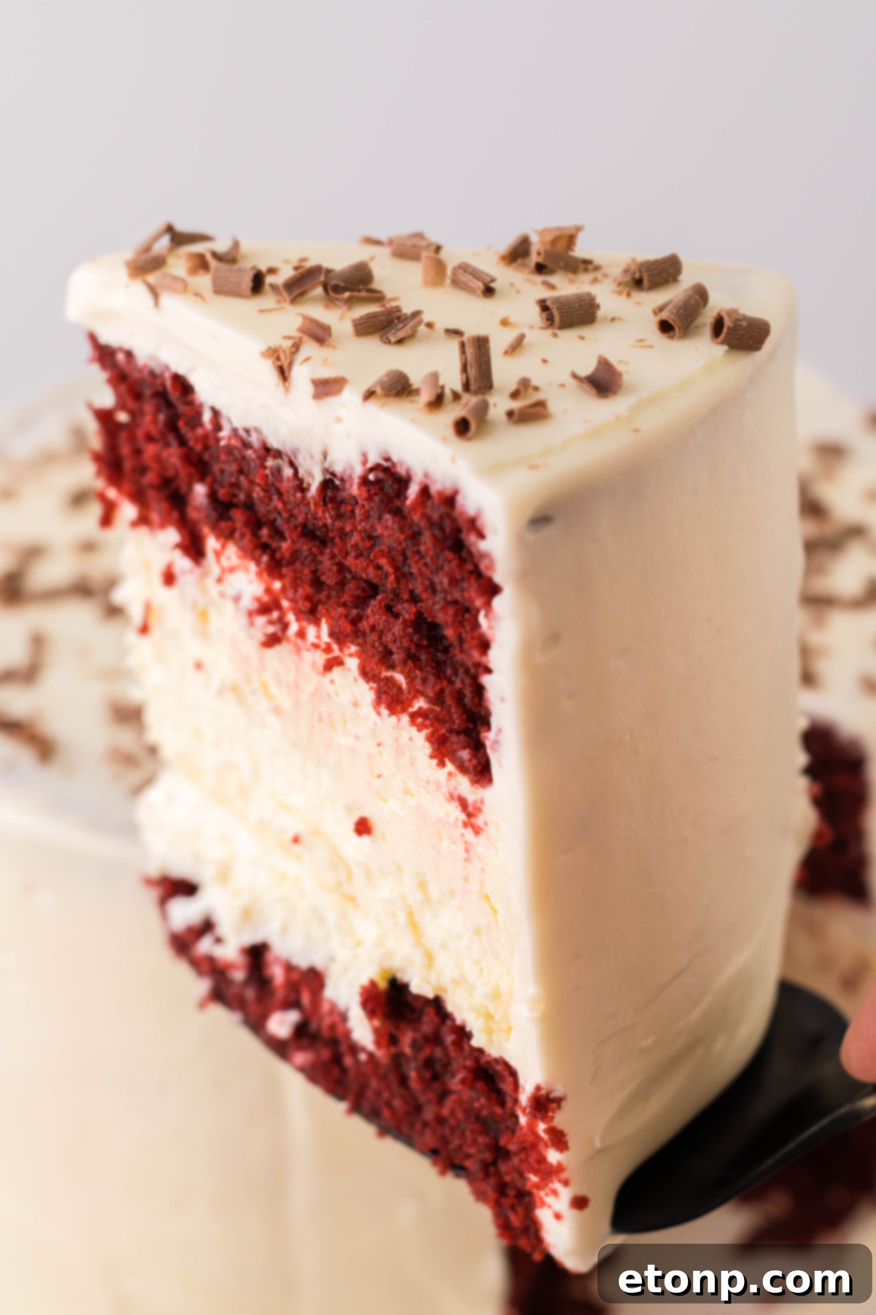 The assembled Red Velvet Cheesecake Cake, beautifully frosted and ready for final garnishing.