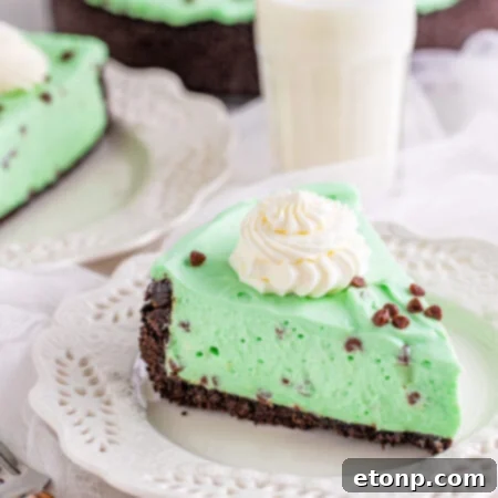No Bake Mint Chocolate Chip Cheesecake (Grasshopper)
