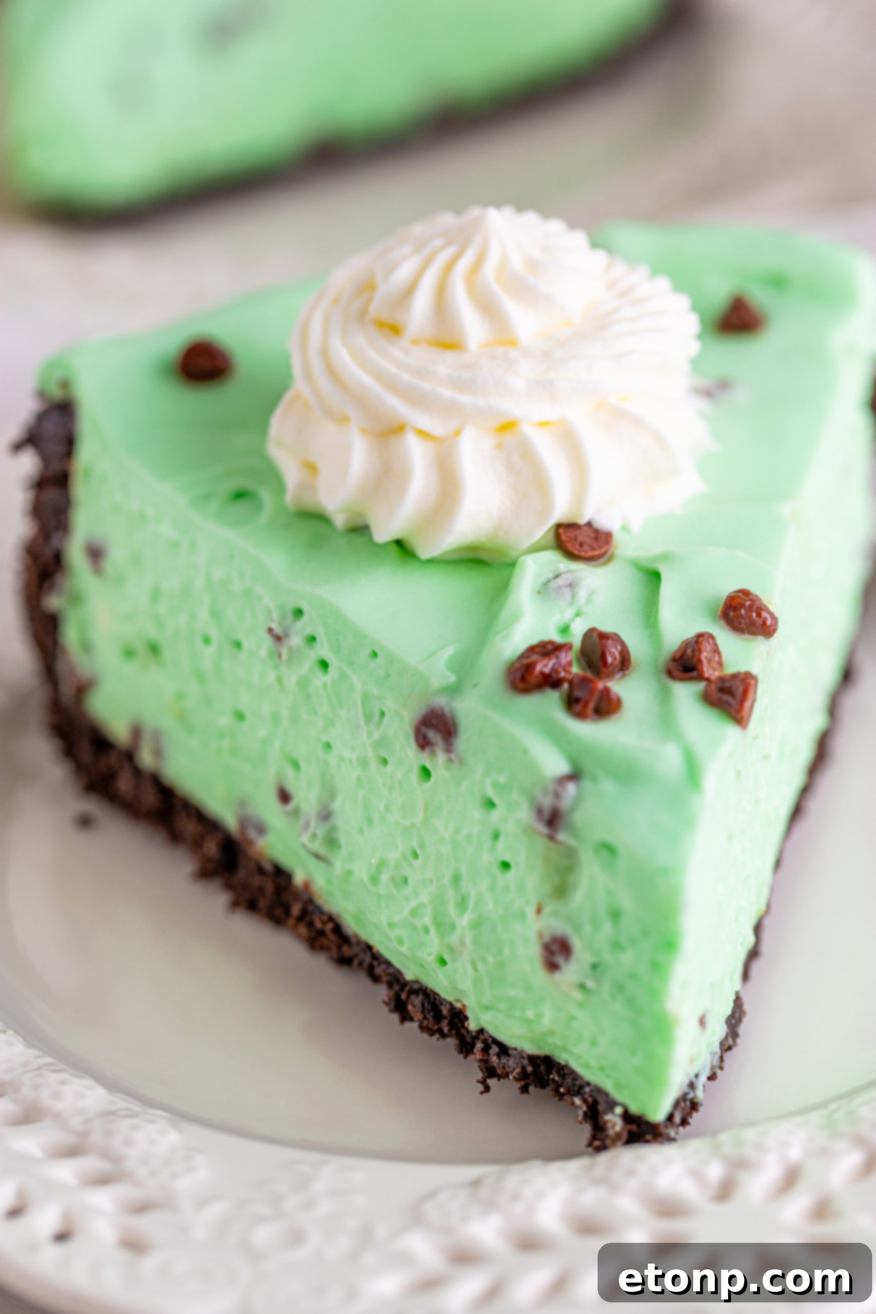 Overhead view of a whole no-bake mint chocolate chip cheesecake in a springform pan, showing the chocolate crust