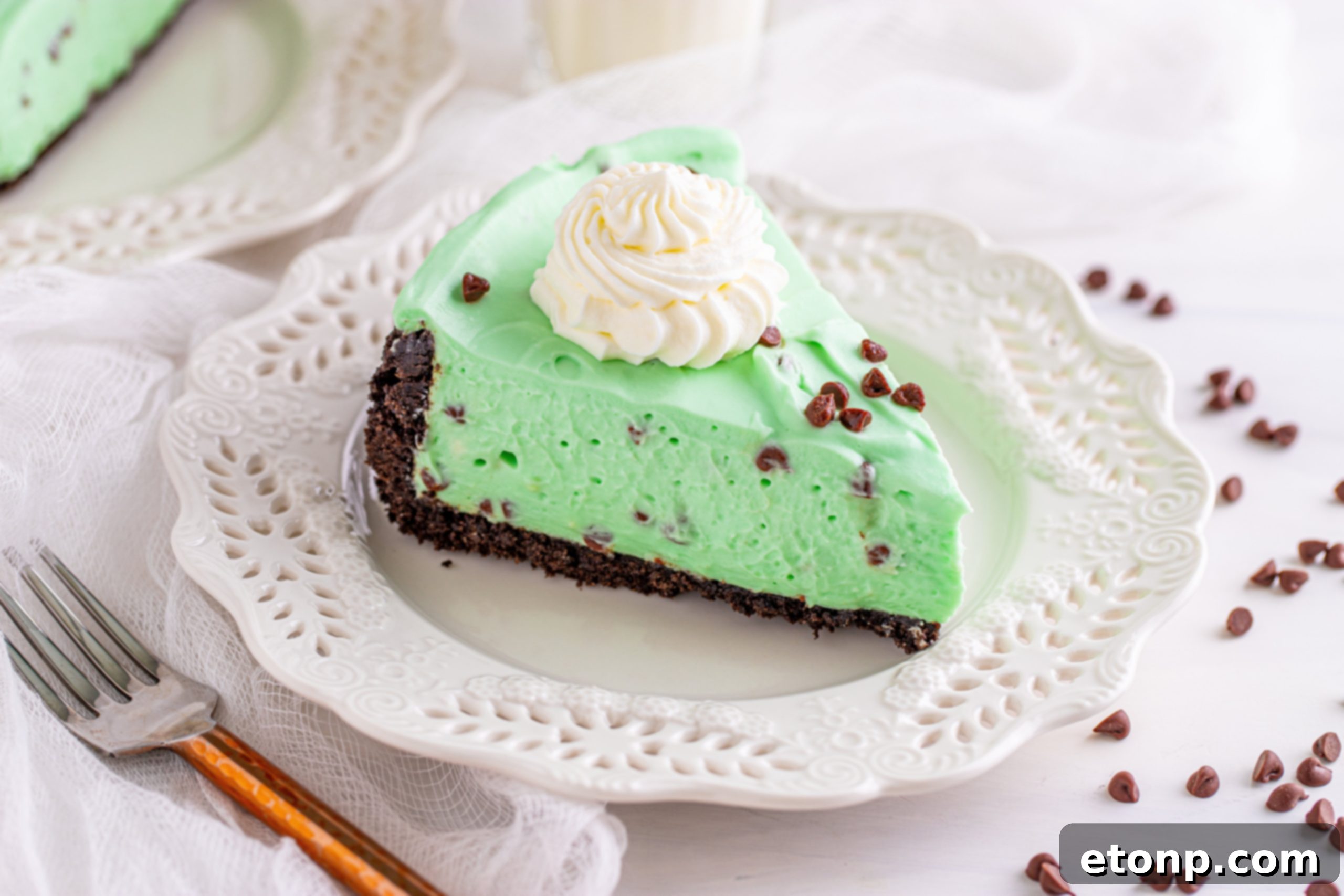 A beautifully decorated mint chocolate chip cheesecake with whipped cream and chocolate shavings on top