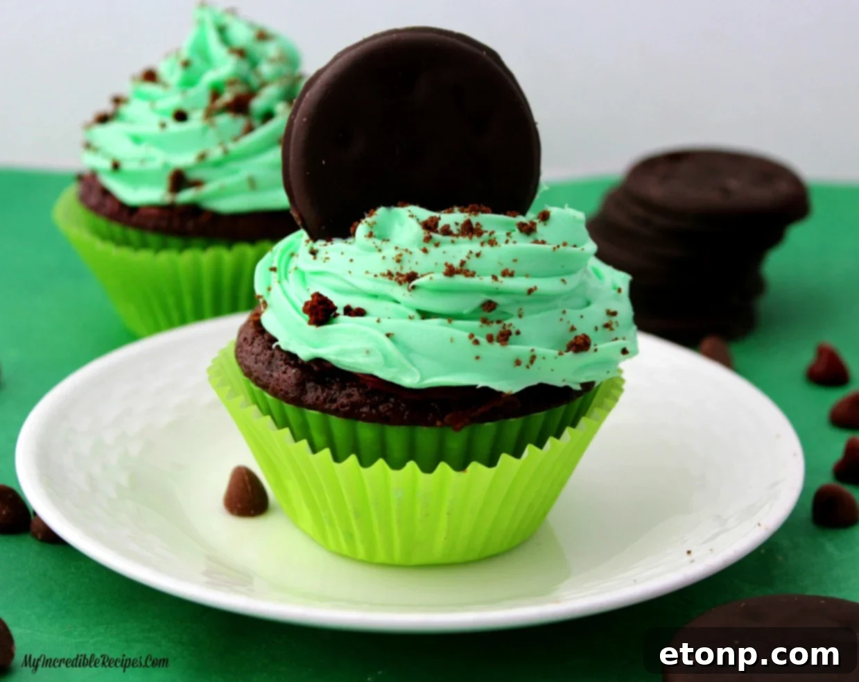 Delicious Thin Mint cupcakes artfully arranged, ready to be enjoyed.
