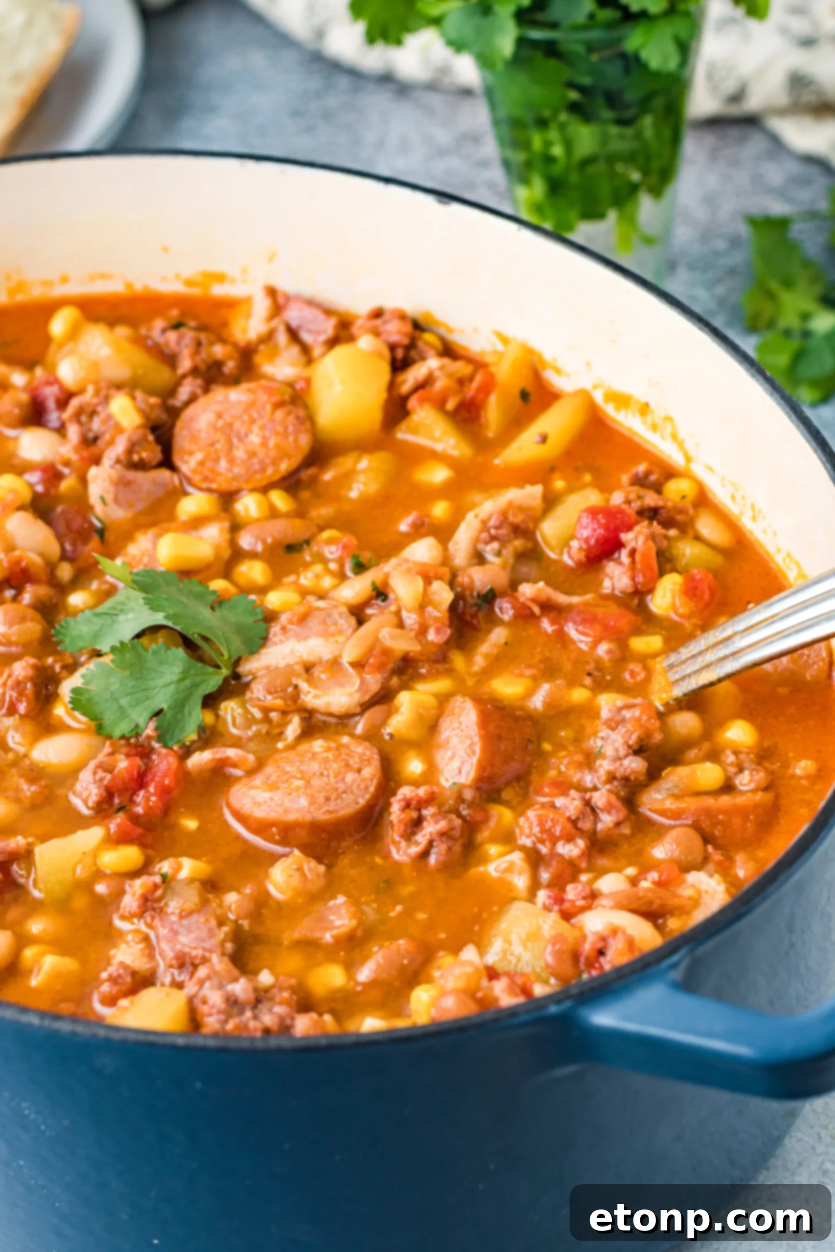 Wrangler's Frontier Stew 2 A bowl of rich, hearty Cowboy Stew with chunks of meat and vegetables, garnished with fresh cilantro.