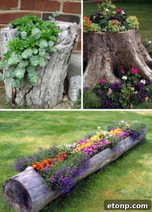 Tree Stump Planters