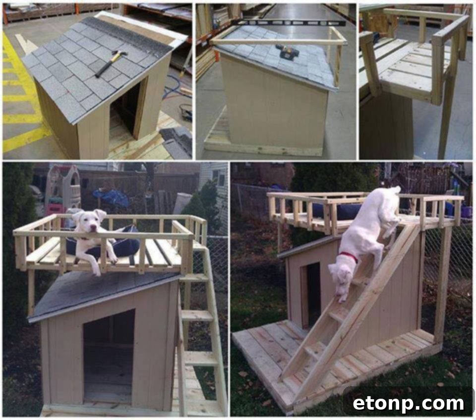 DIY Dog House with a Deck Roof