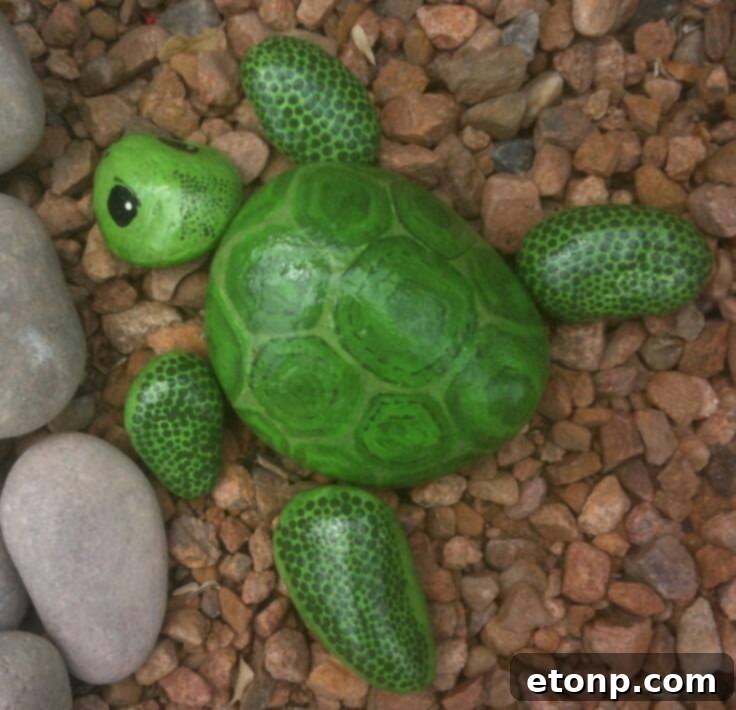 Painted Turtle Rocks