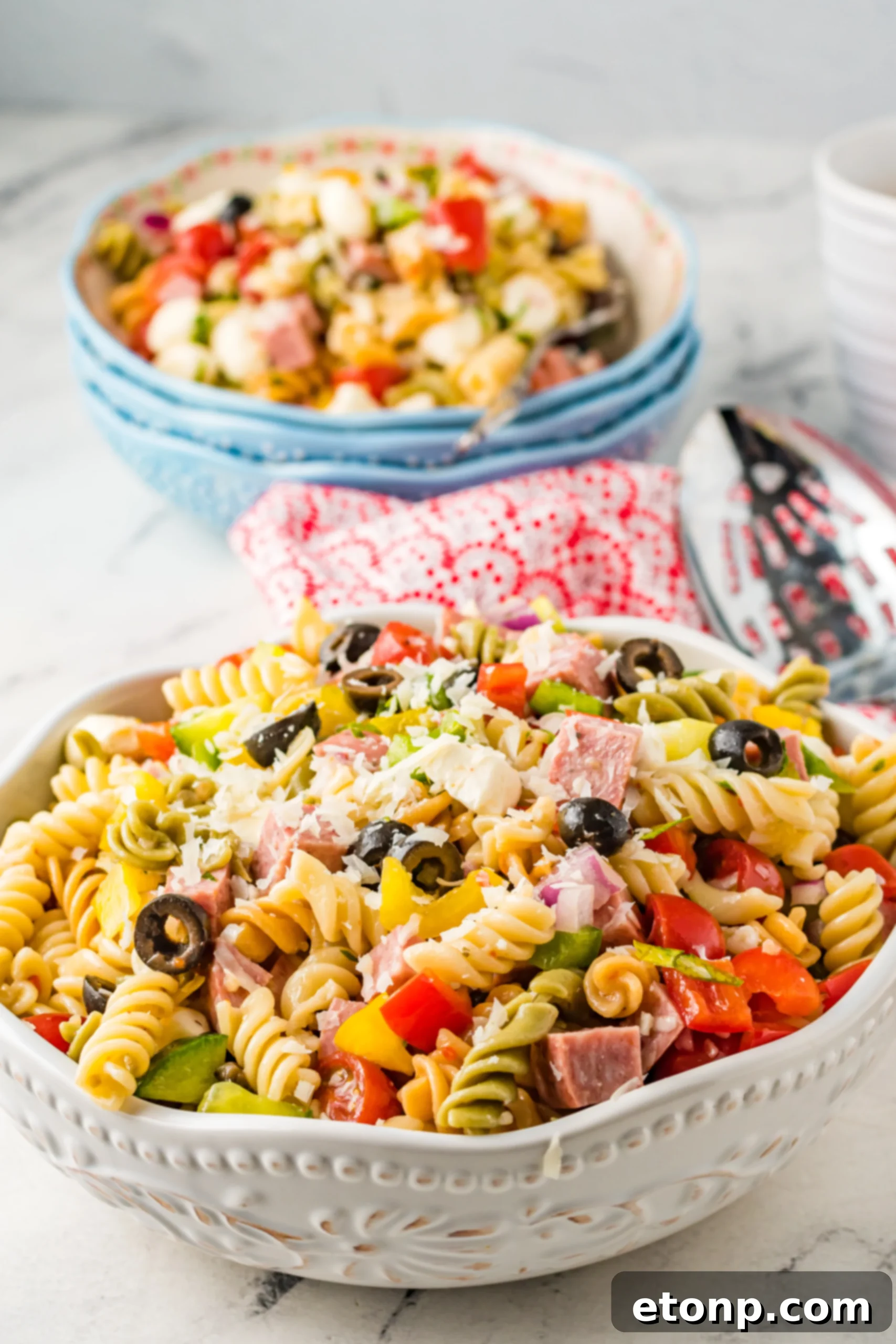 Authentic Italian Pasta Salad 12 Various ingredients for Italian Pasta Salad