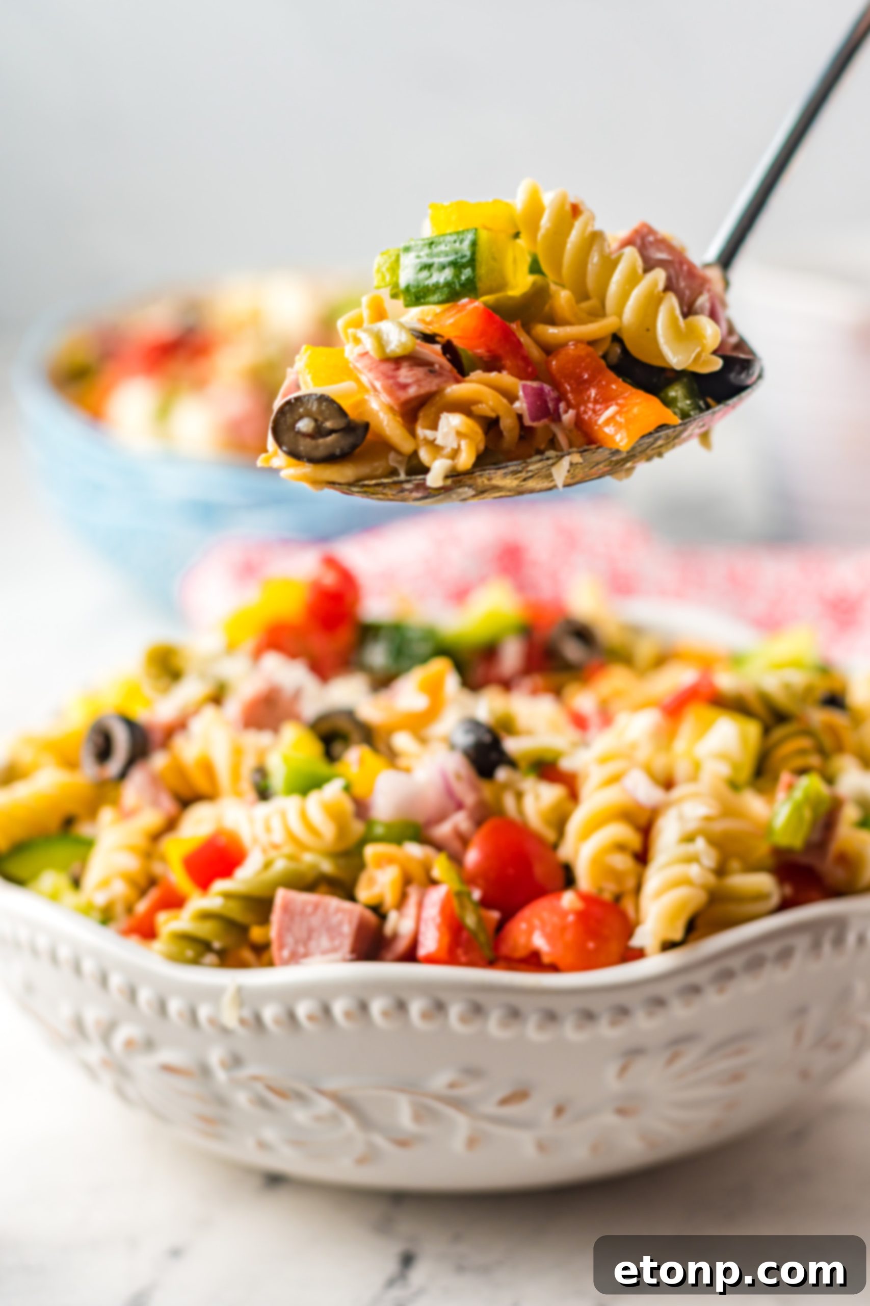 Authentic Italian Pasta Salad 13 Close-up of Italian Pasta Salad ingredients