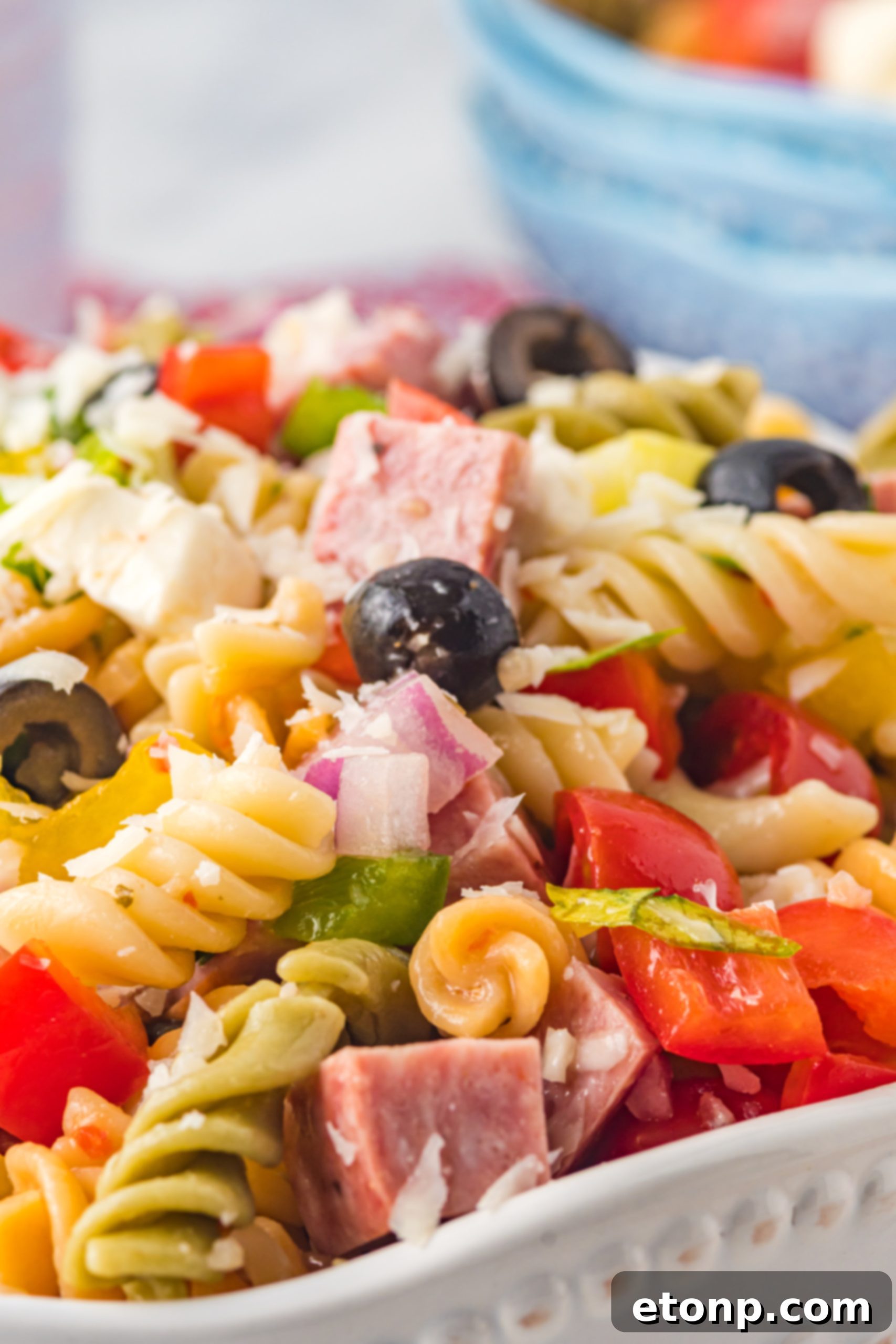 Authentic Italian Pasta Salad 15 Italian Pasta Salad with a focus on fresh vegetables