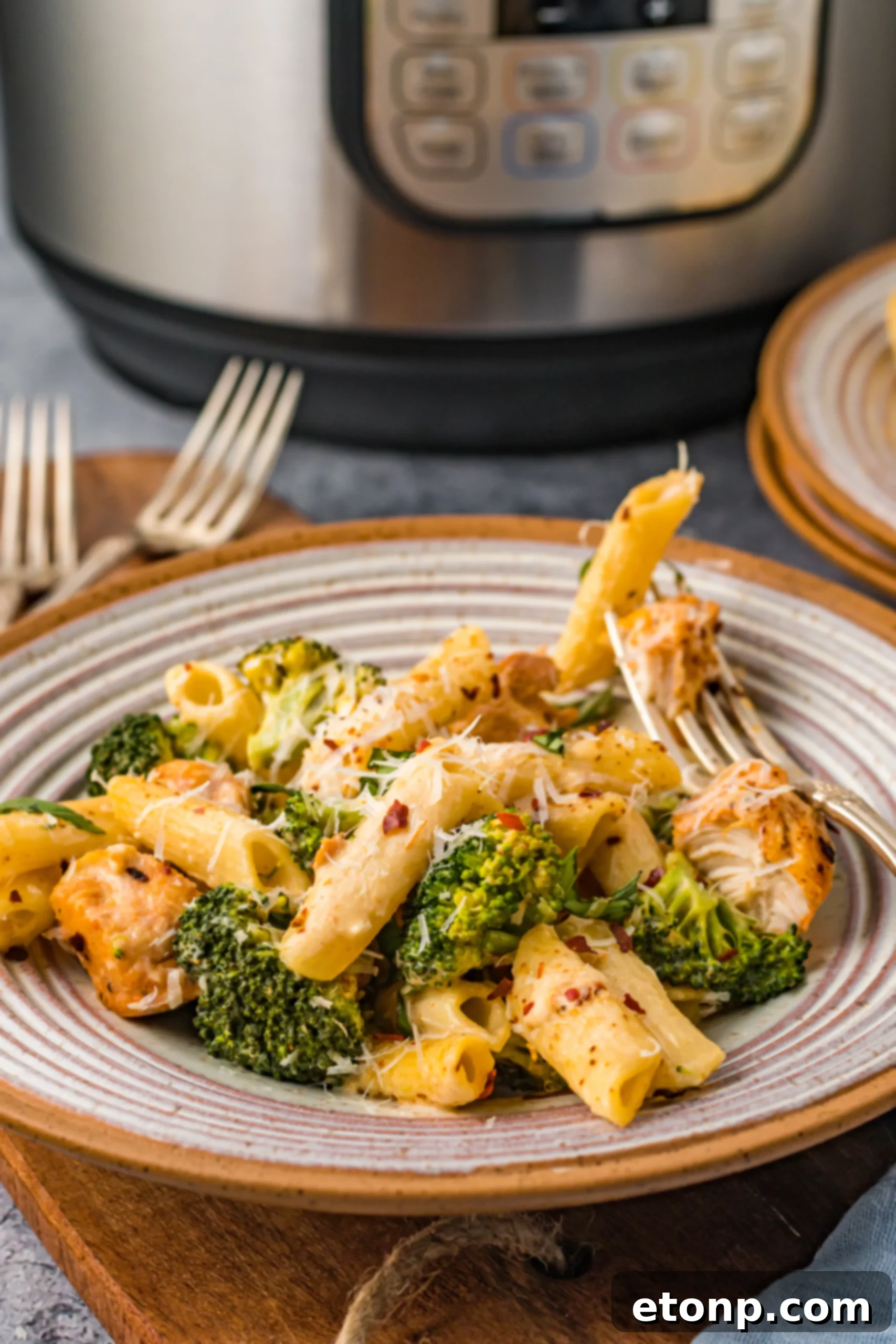 Chicken Pasta Delight 12 A dish of cheesy chicken pasta on a plate, with the Instant Pot blurred in the background, suggesting a freshly made meal.