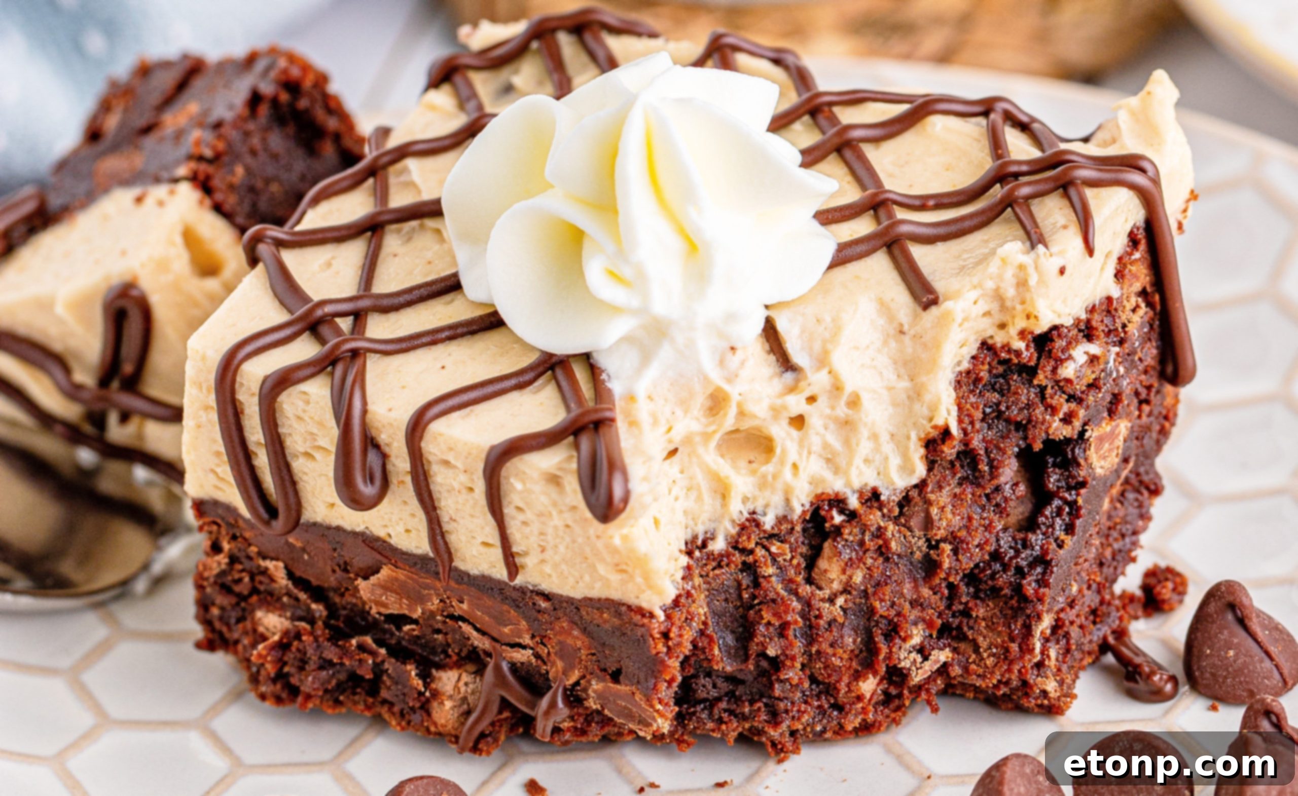 Peanut Butter Brownies on a white plate drizzled with chocolate and topped with whipped cream