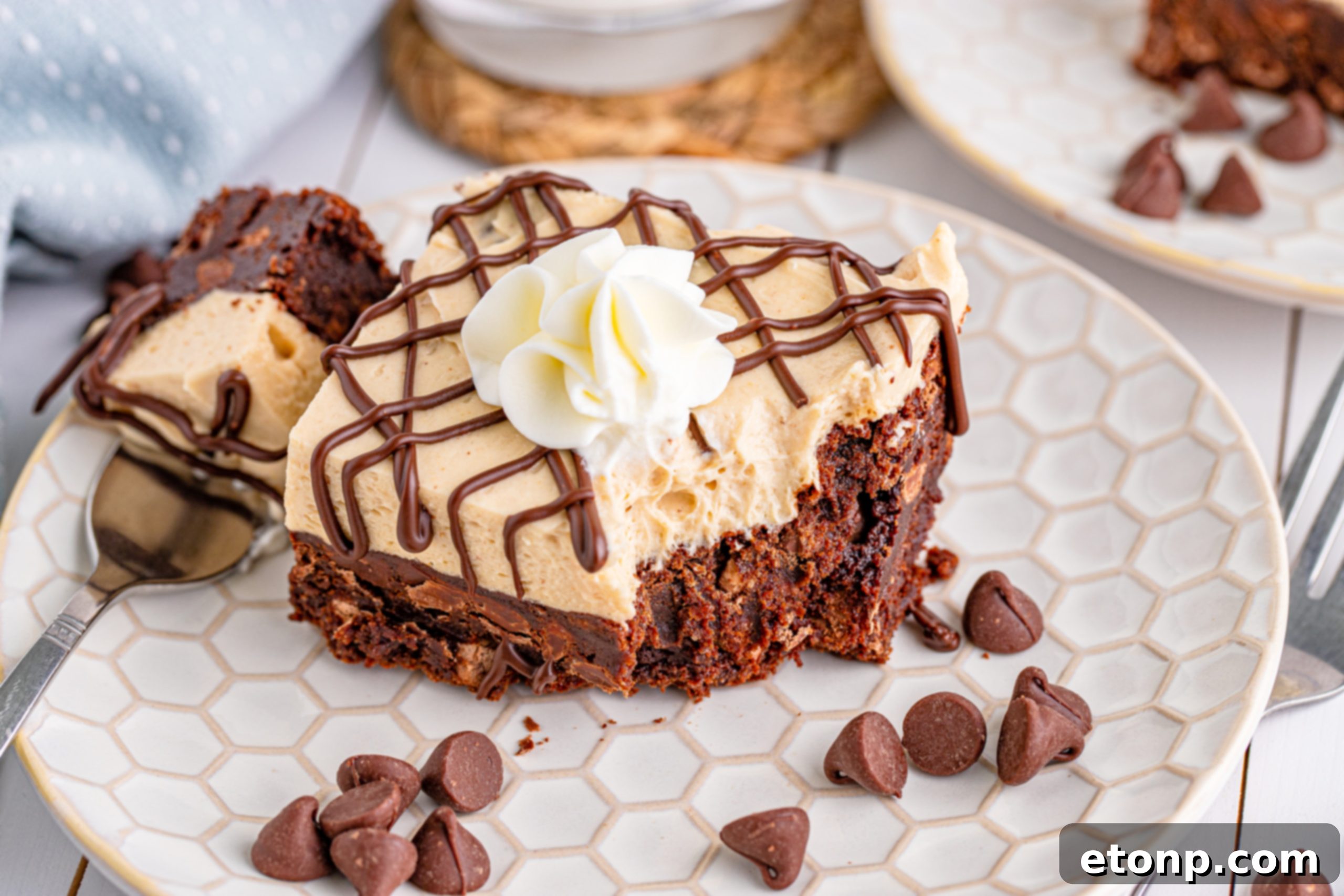 Peanut Butter Brownies on a white plate drizzled with chocolate and topped with whipped cream