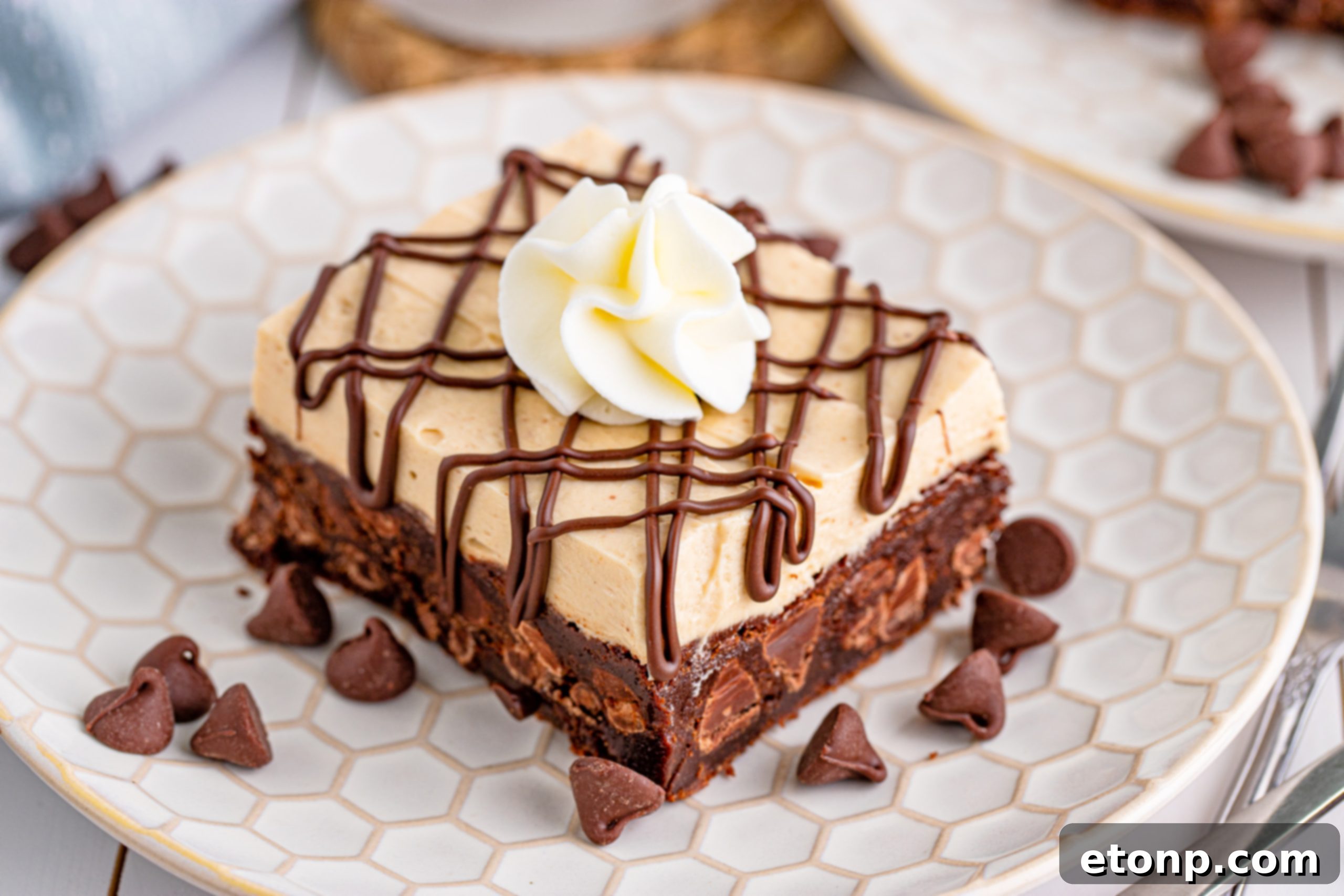 Peanut Butter Brownies on a white plate drizzled with chocolate and topped with whipped cream