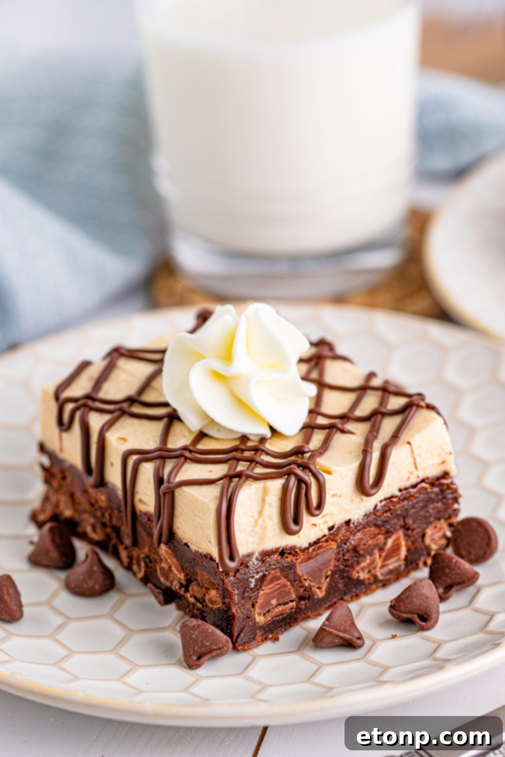 Peanut Butter Brownies on a white plate drizzled with chocolate and topped with whipped cream