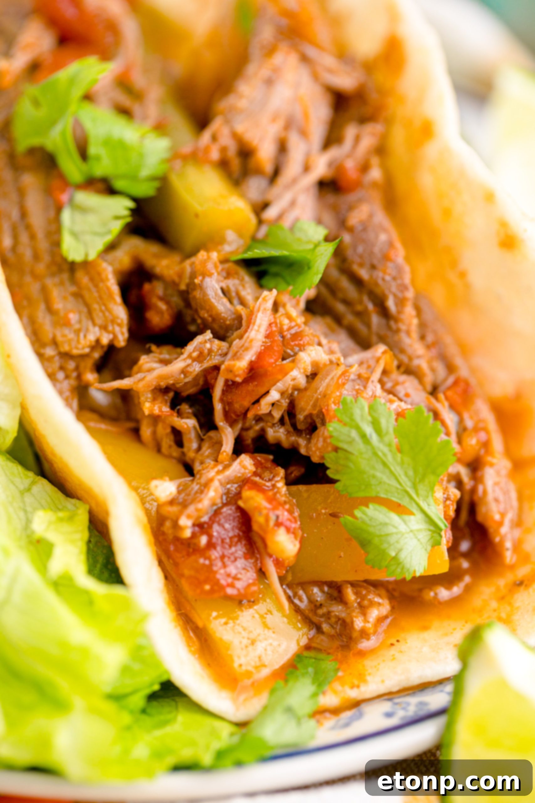Steak Fajitas wrapped in a tortilla with lettuce piled next to it