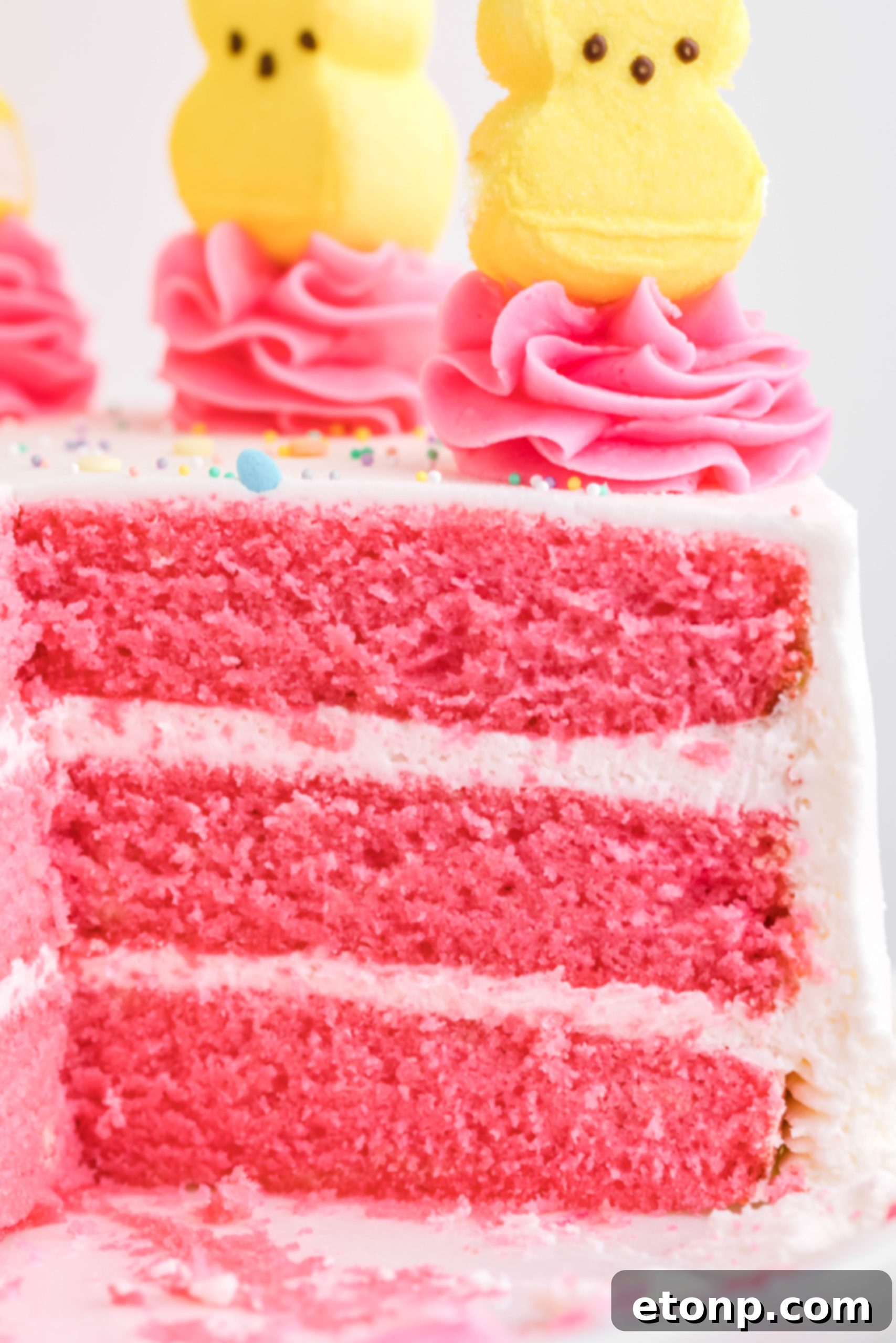 Side view close-up of a pink Vanilla layered cake with white frosting and yellow Peeps for Easter on a white cake stand, showing all the hot pink layers