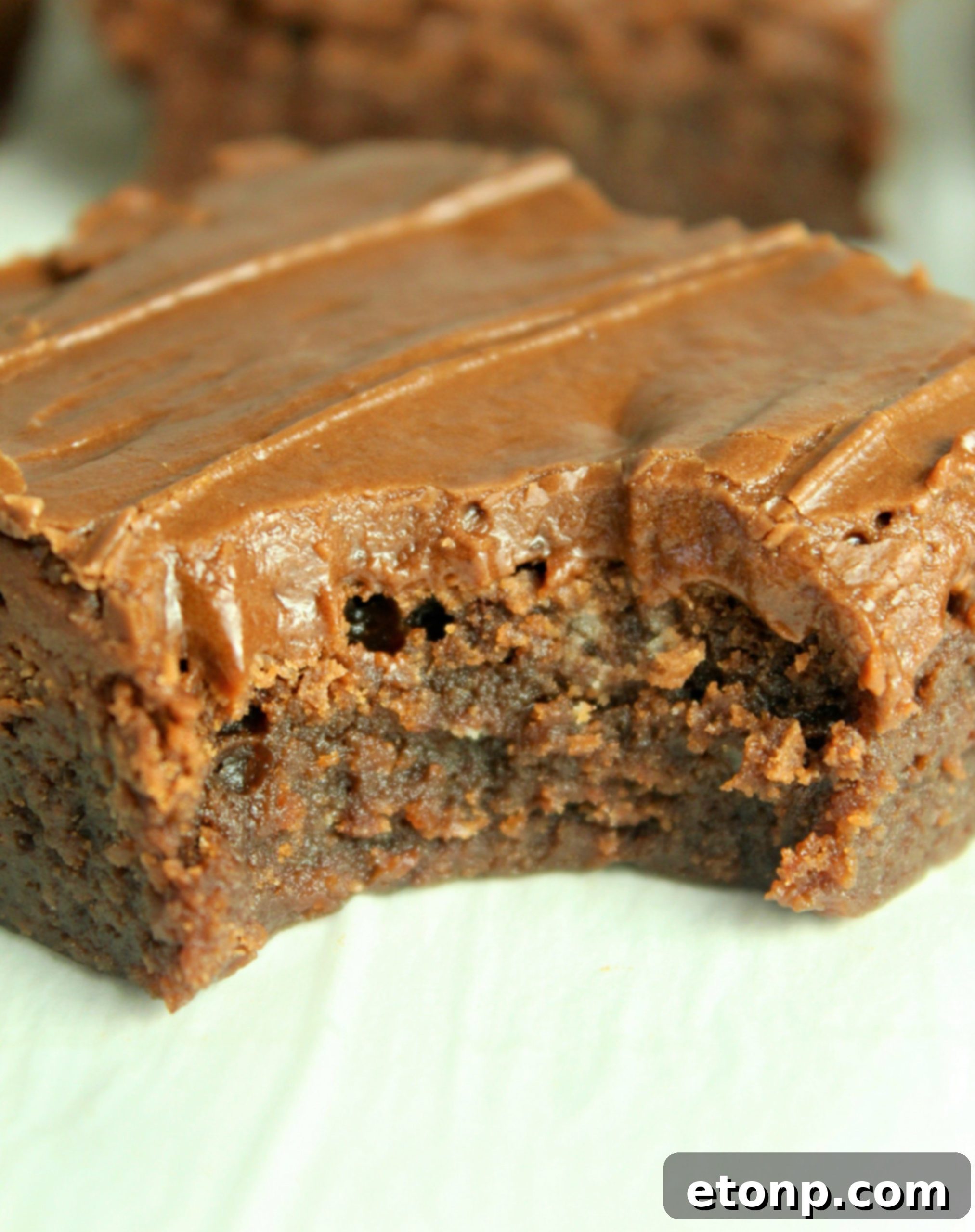 Homemade chocolate frosted lunch lady Brownies with a bite gone