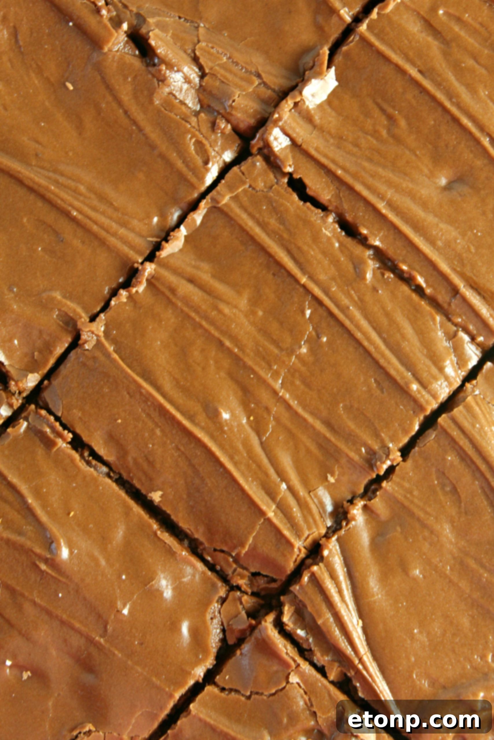 Homemade chocolate frosted lunch lady Brownies cut in squares